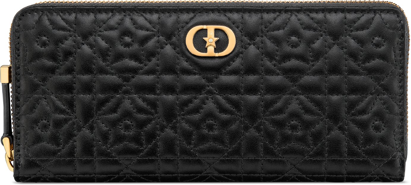 Dior 財布 パリ 本店