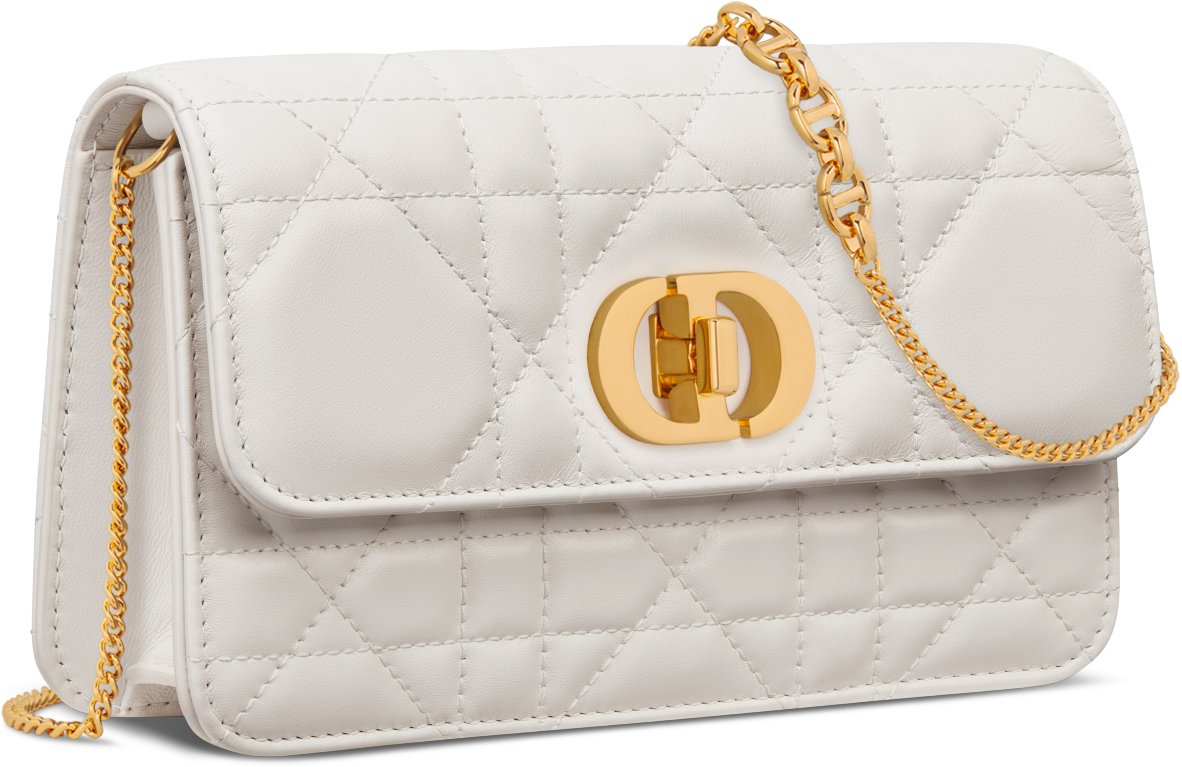 Miss Caro Pouch with Chain Three quarter closed view