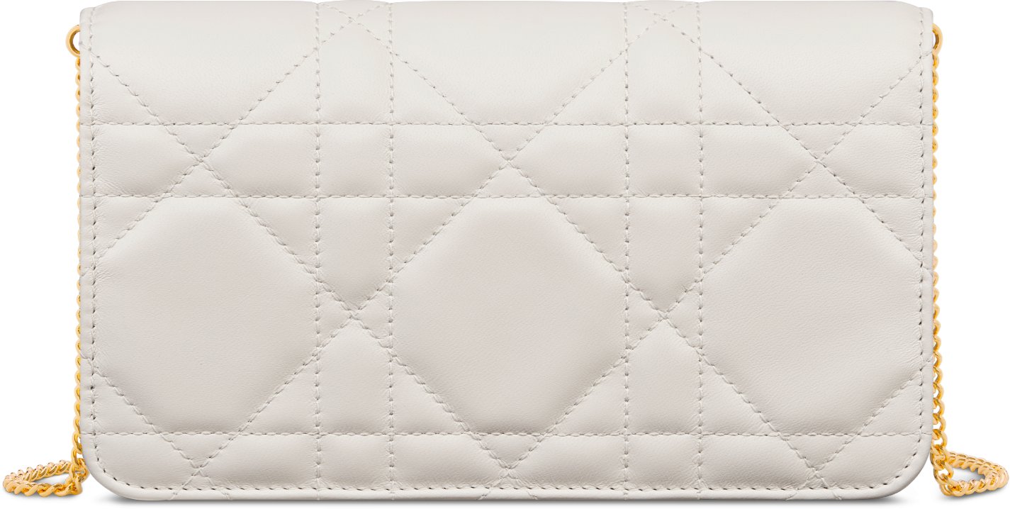 Miss Caro Pouch with Chain Back view