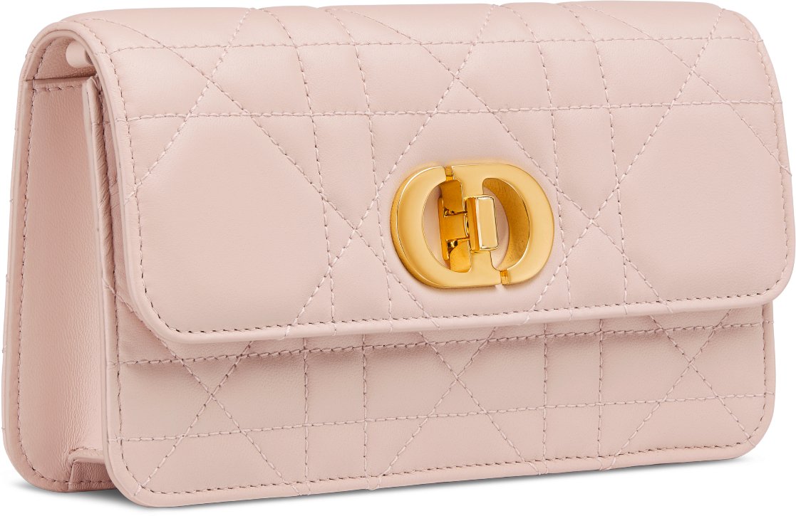 Miss Caro Pouch with Chain Three quarter closed view