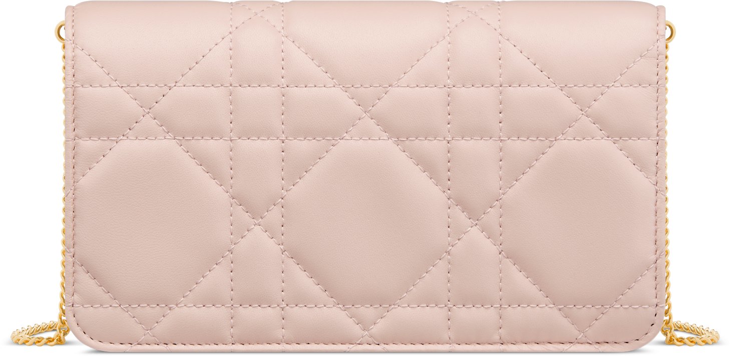Miss Caro Pouch with Chain Back view