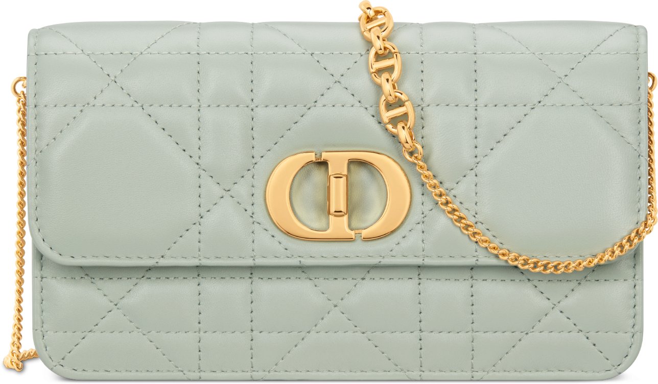 Miss Caro Pouch with Chain Front view