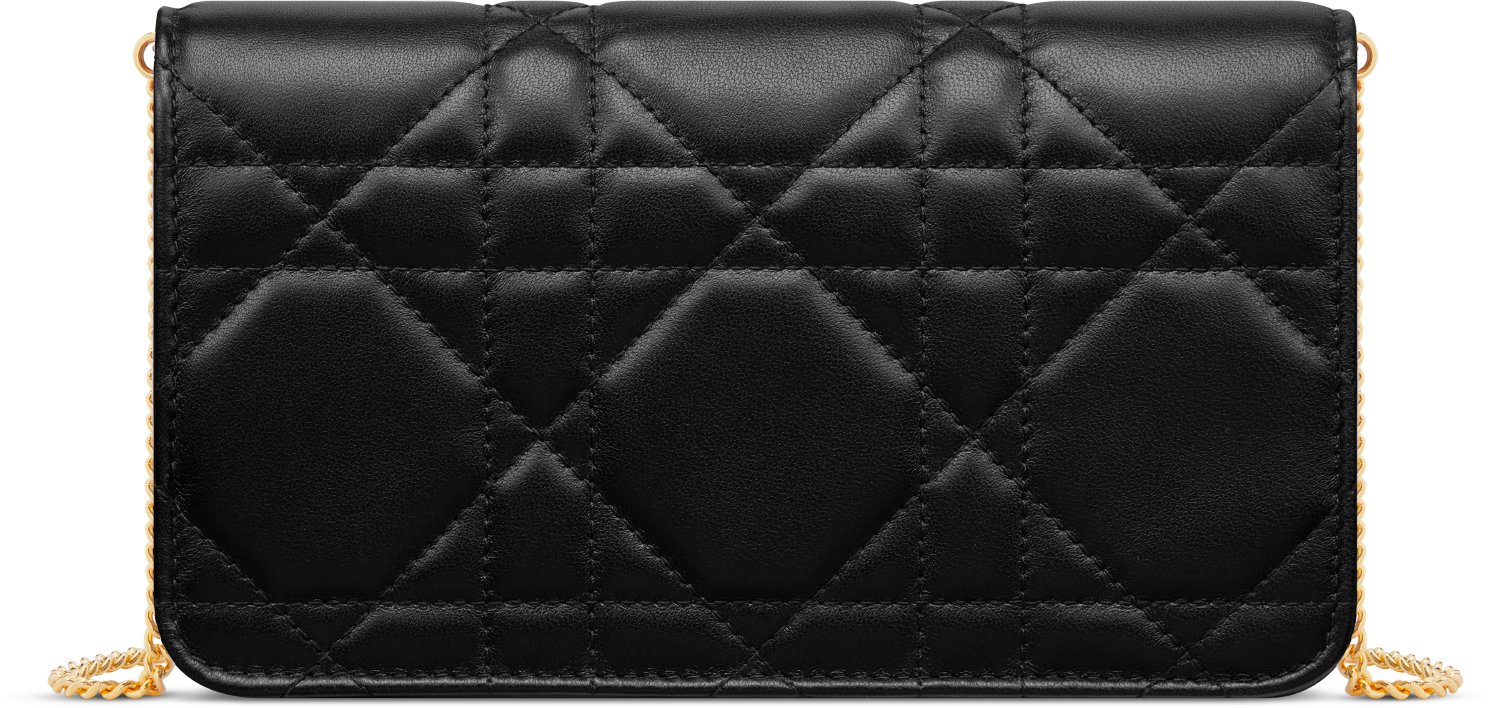 Miss Caro Pouch with Chain Back view