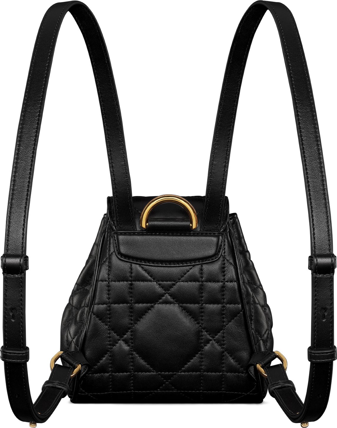 Dior Caro Nano Backpack Back view
