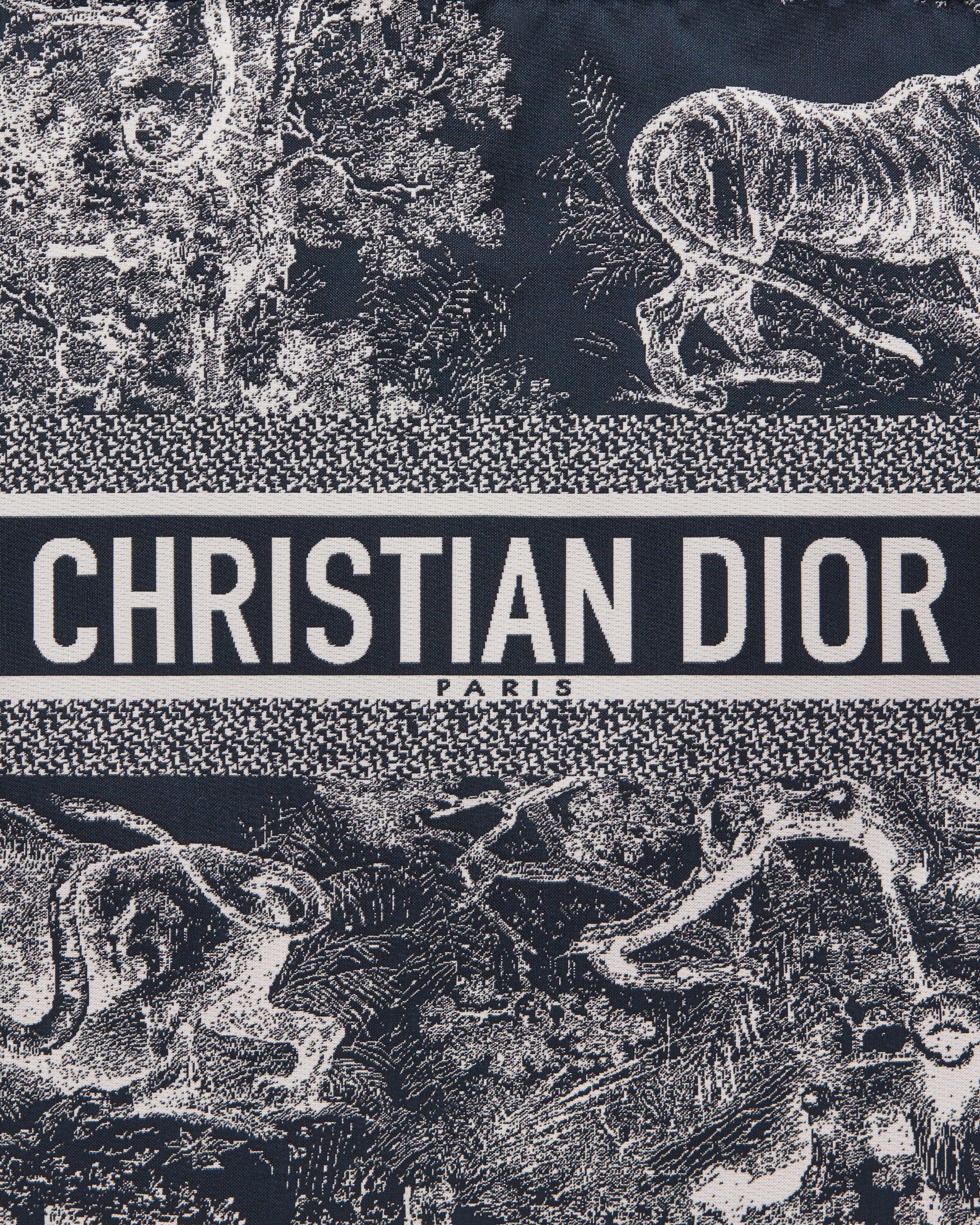 Pochette zippée DiorTravel Tissu technique Toile de Jouy Reverse bleue E09