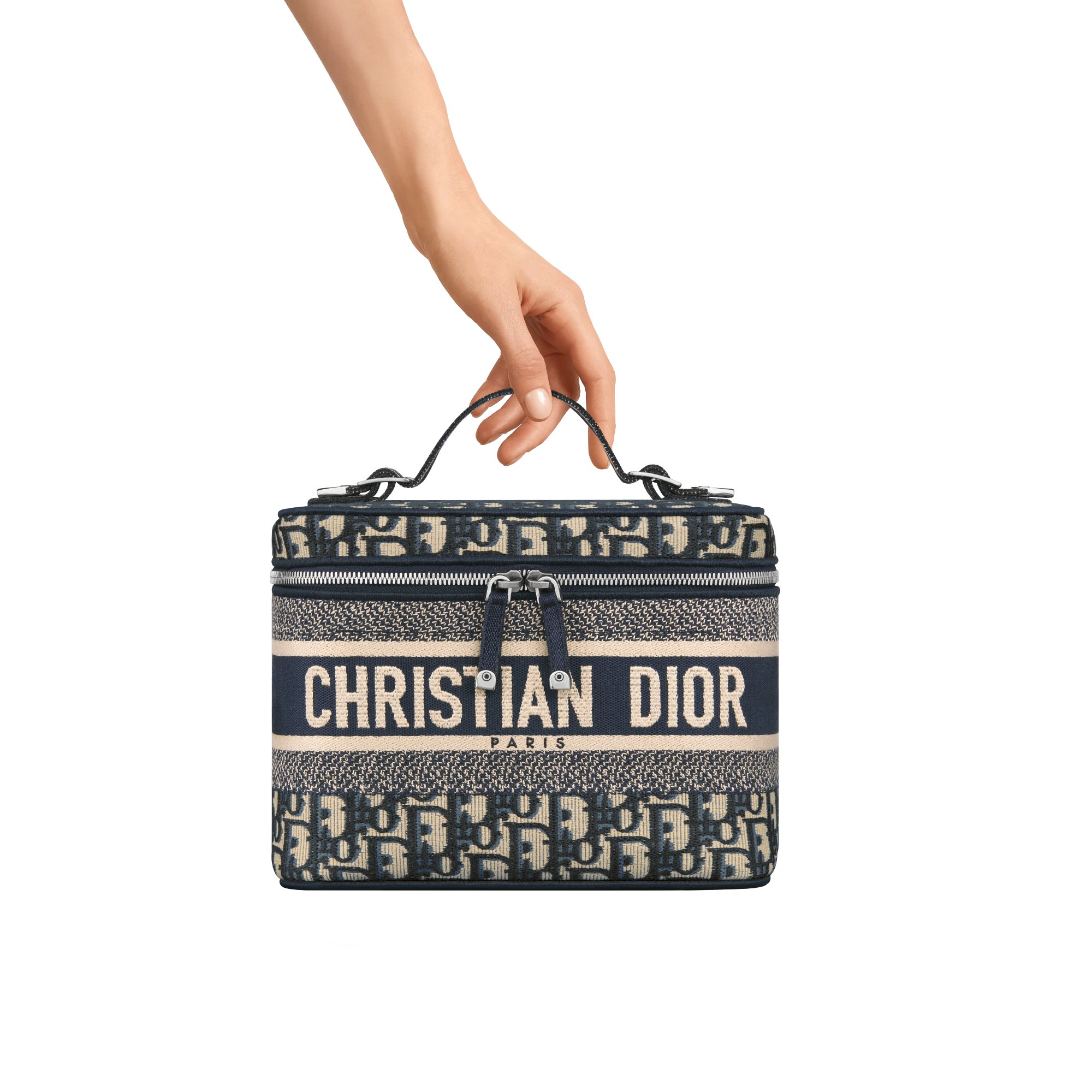 Dior vanity bag online