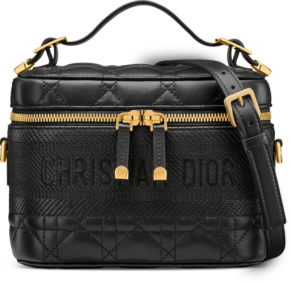 Dior vanity bag online