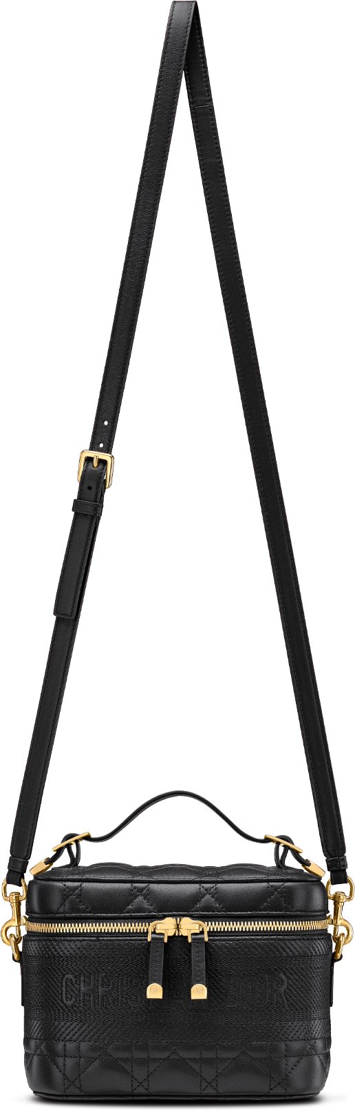 Dior vanity bag online