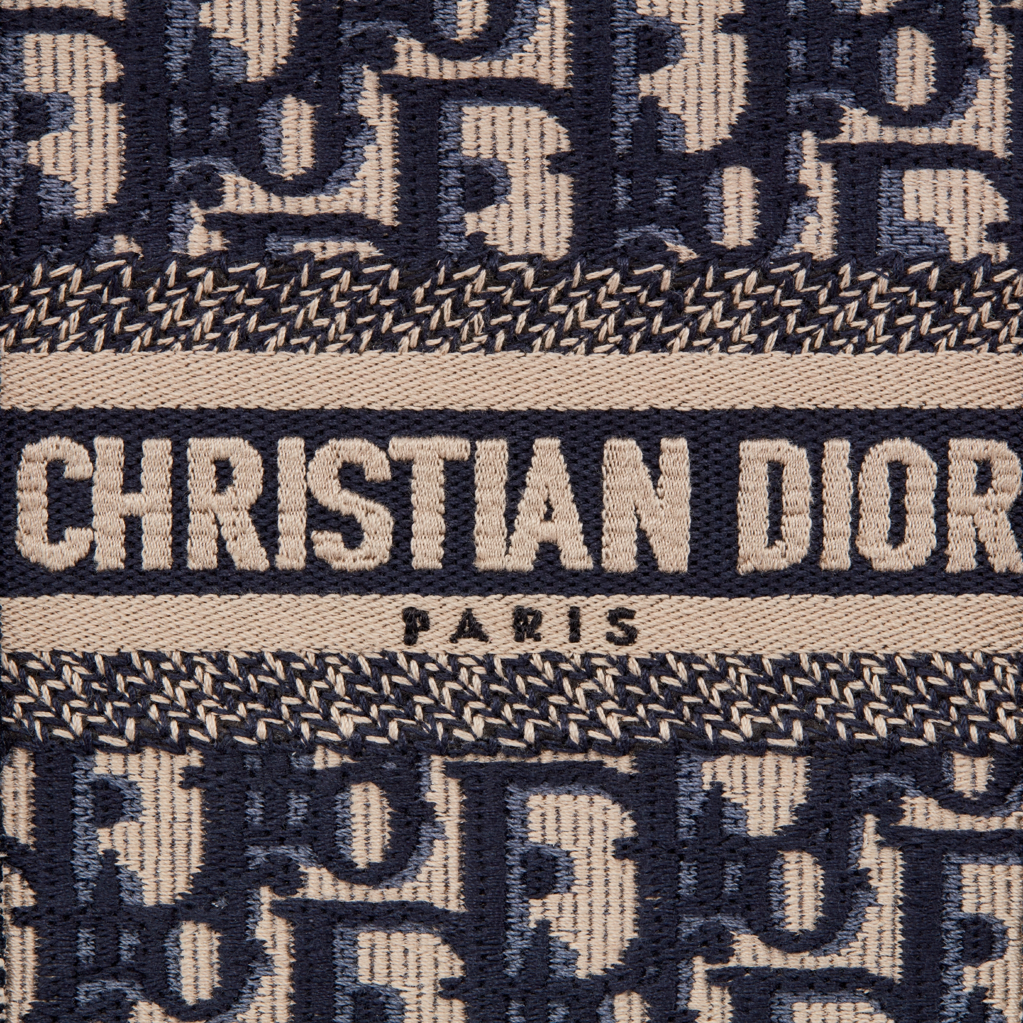 Mini Vertical Dior Book Tote Blue Dior Oblique Embroidery (13 x 18 x 5 ...