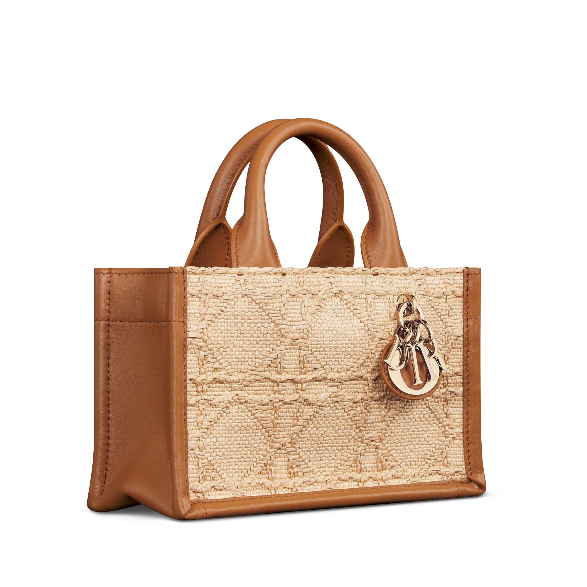 Mini Dior Book Tote