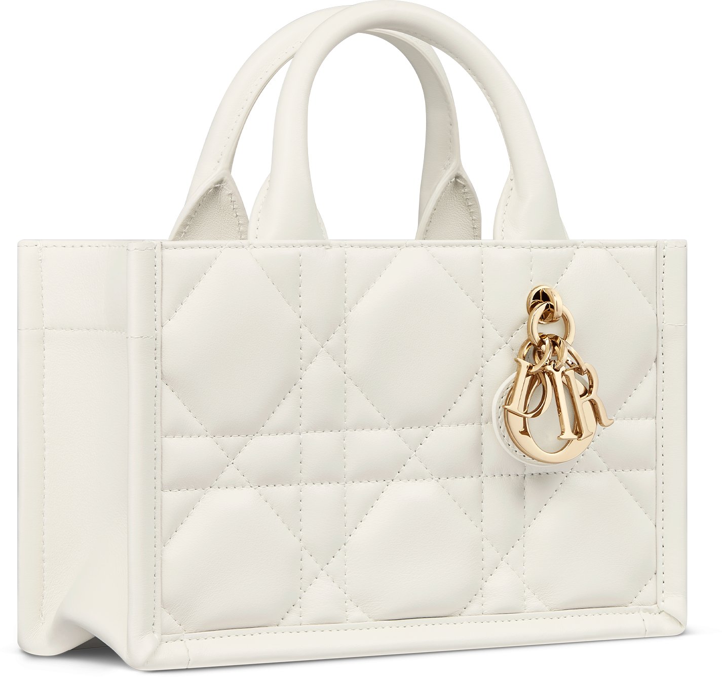 Mini Dior Book Tote Three quarter closed view