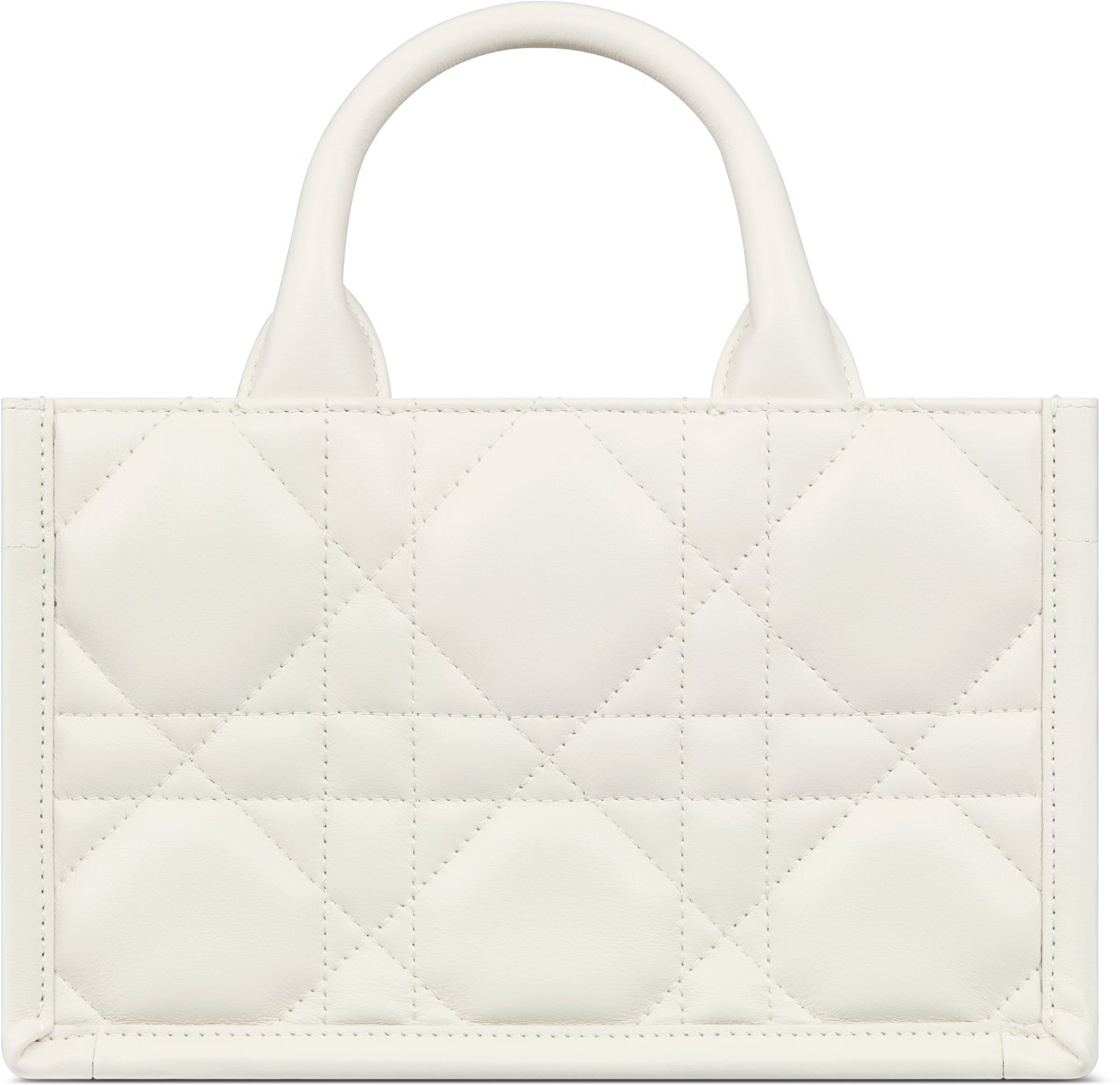 Mini Dior Book Tote Back view