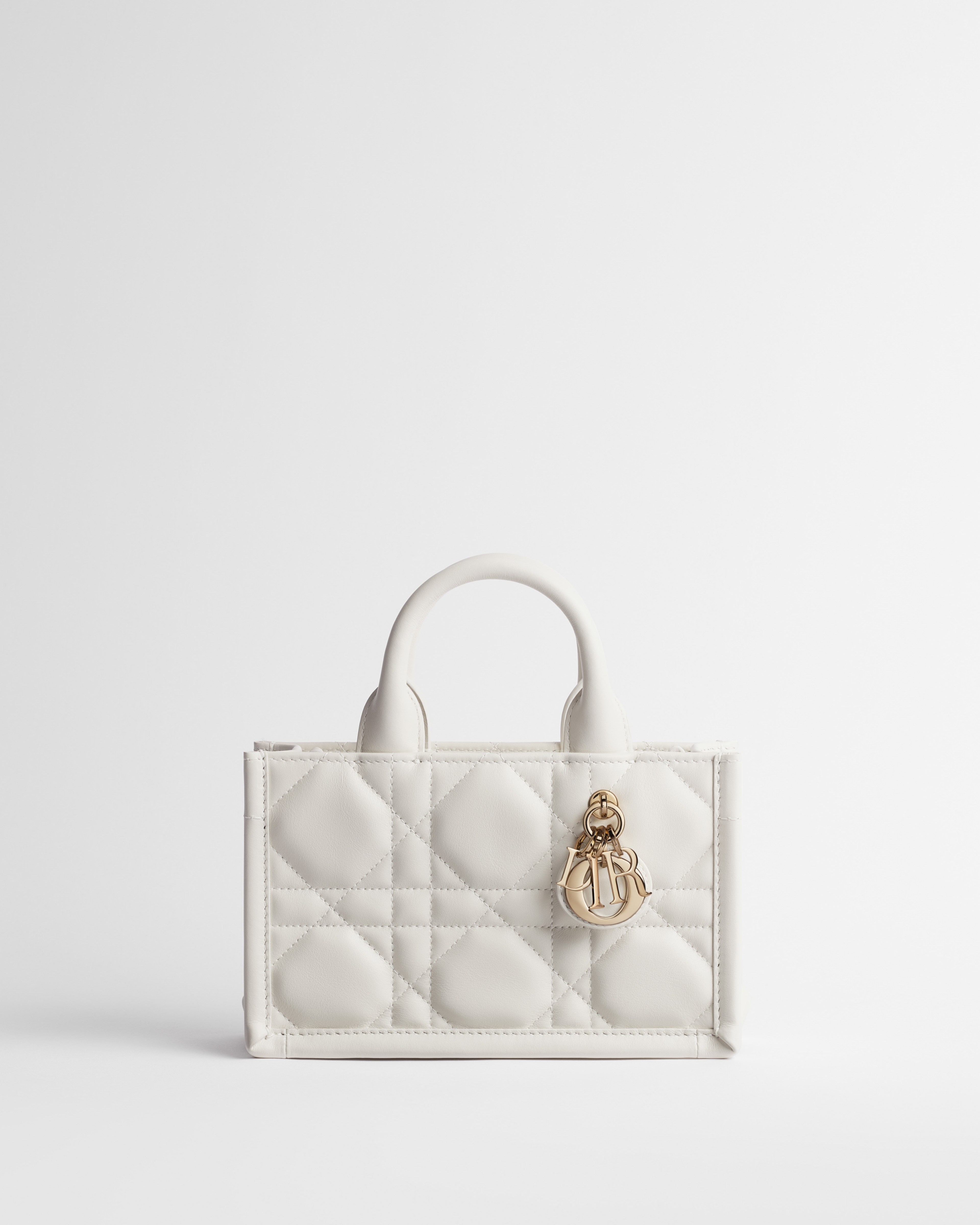 Mini Dior Book Tote