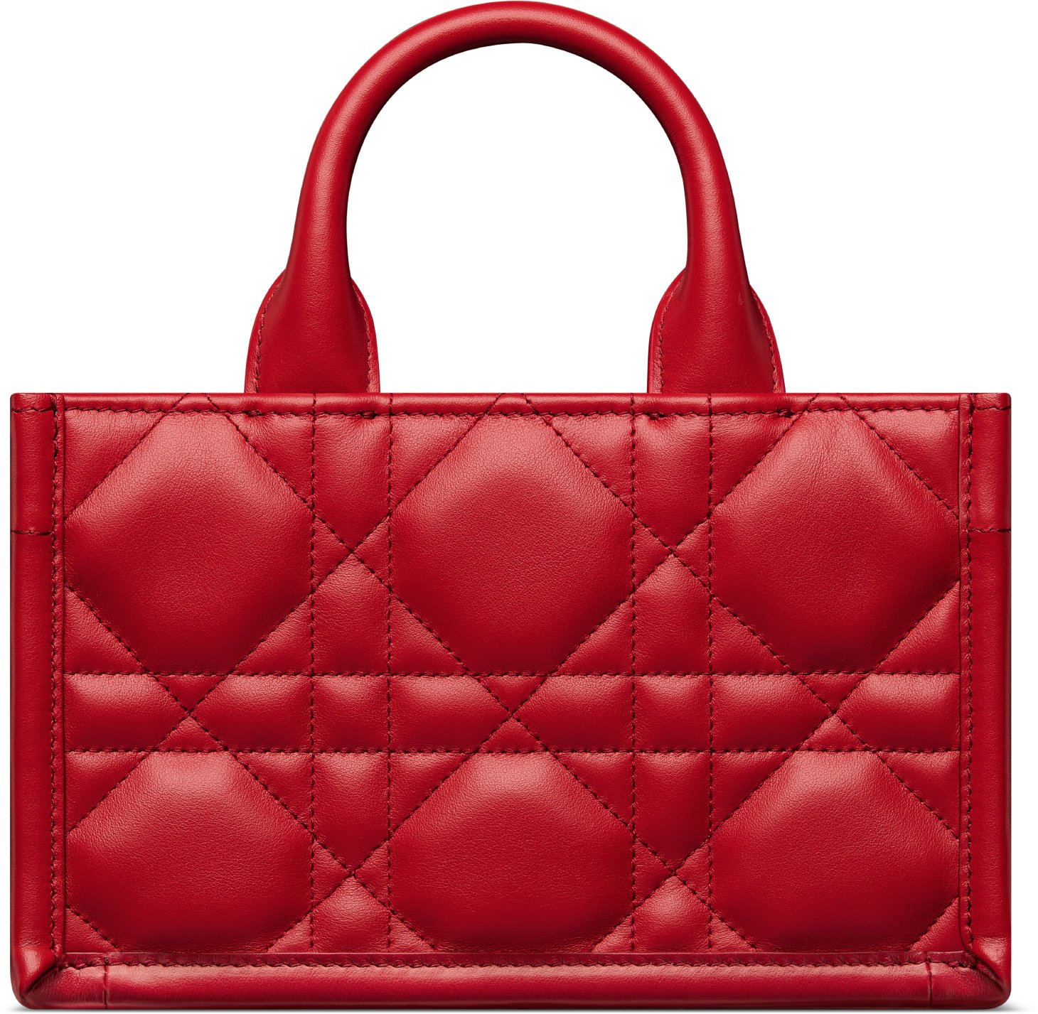 Dior tote mini sale