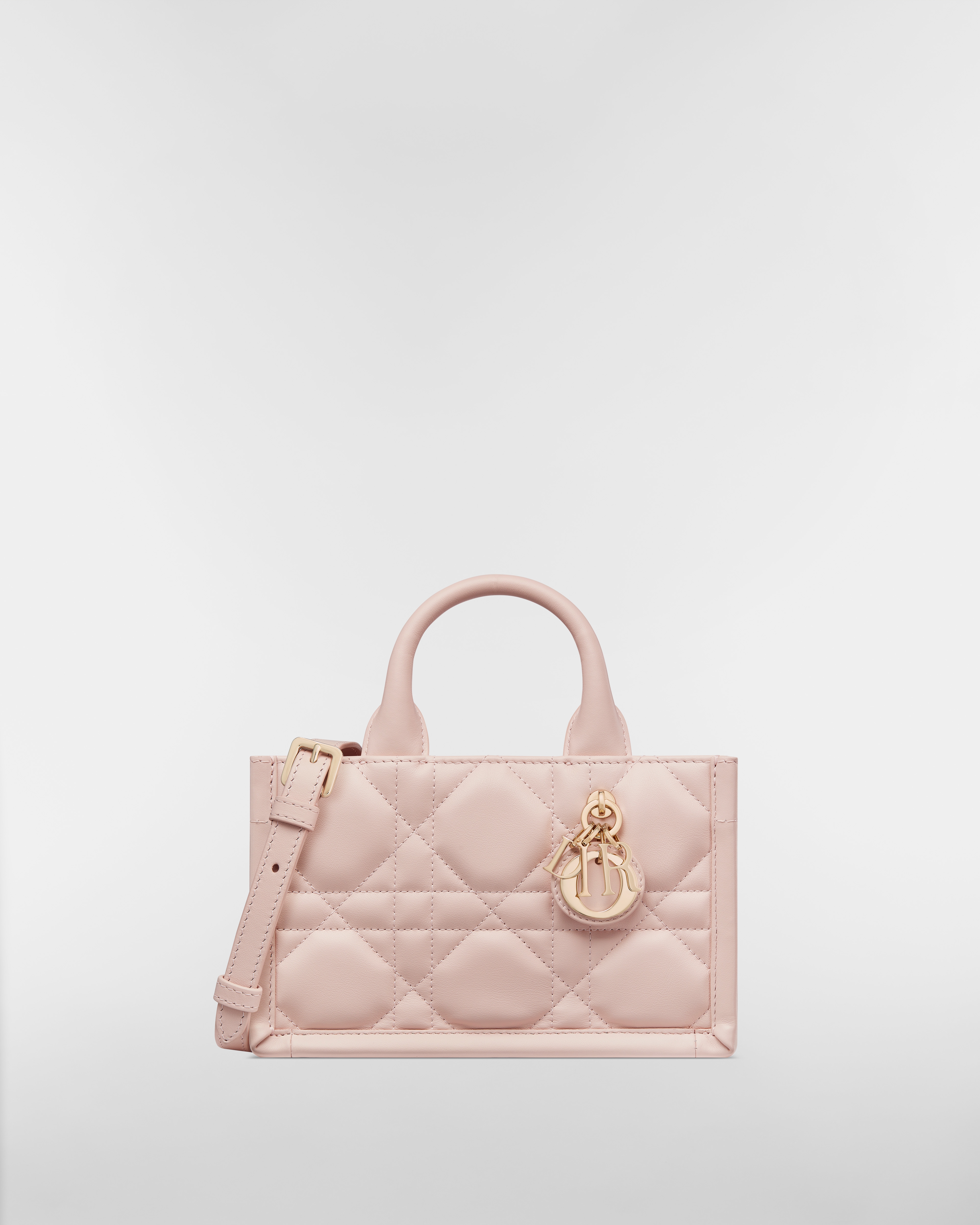 Dior Book Tote バッグ ミニ マクロカナージュ カーフスキン (21.5 x 13 x 7.5 cm) E01