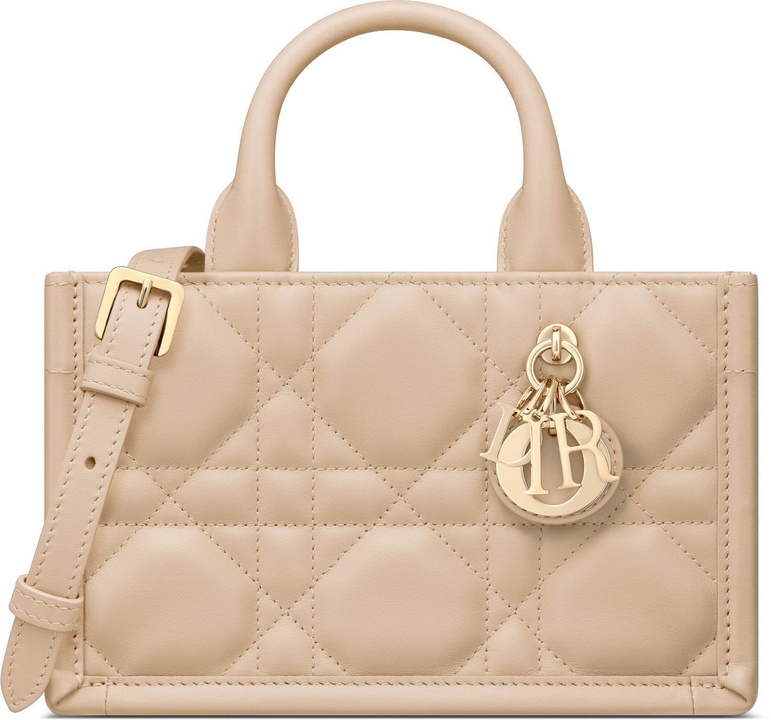 Sac Dior Book Tote Mini Vue de face