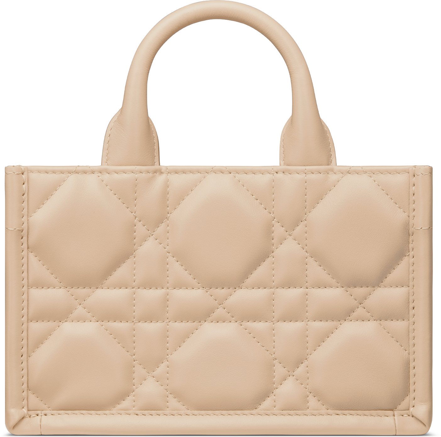 Dior mini tote shop