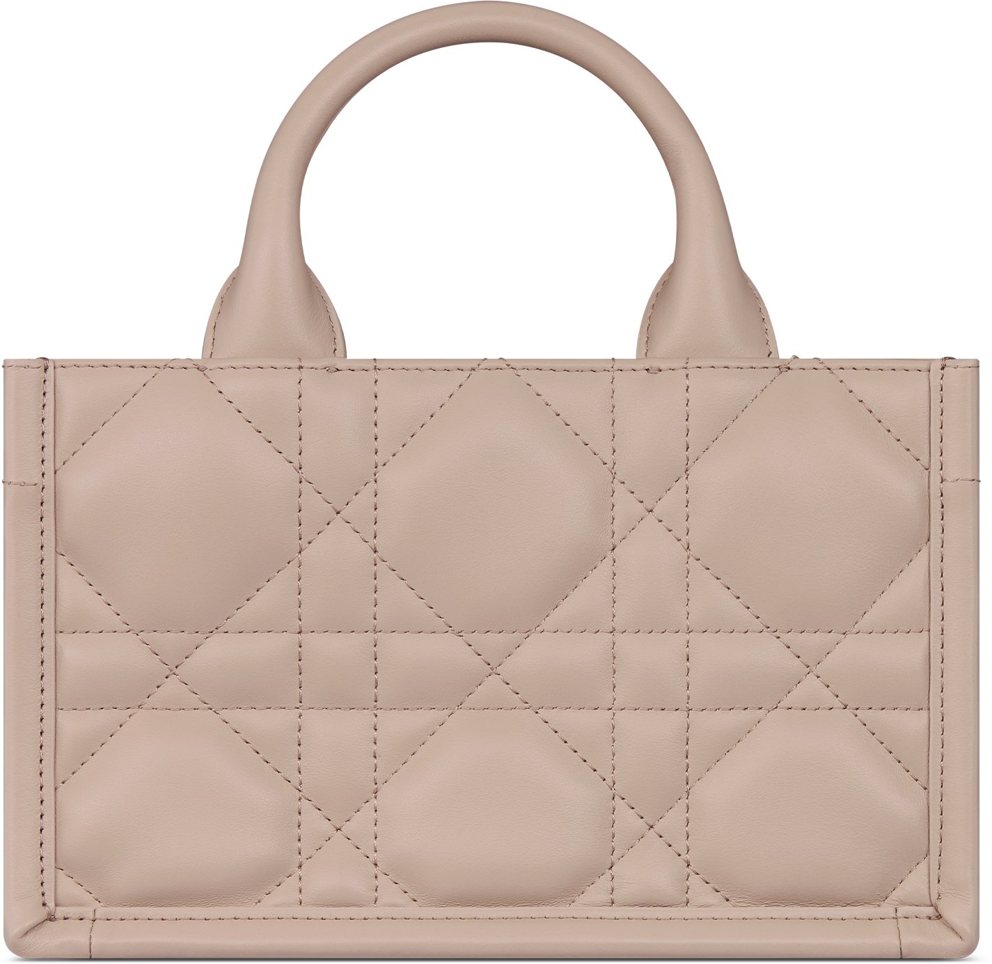 Pink dior book tote 2025
