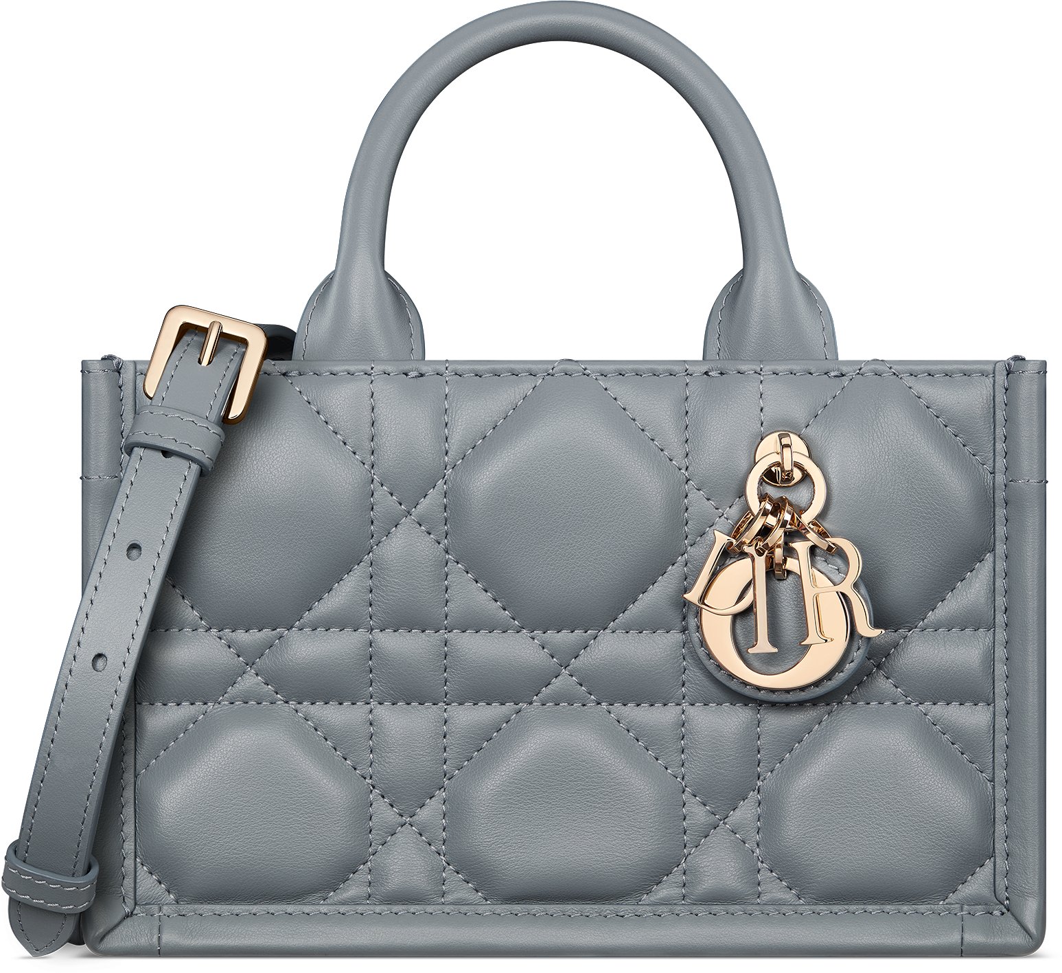 Tote dior hot sale