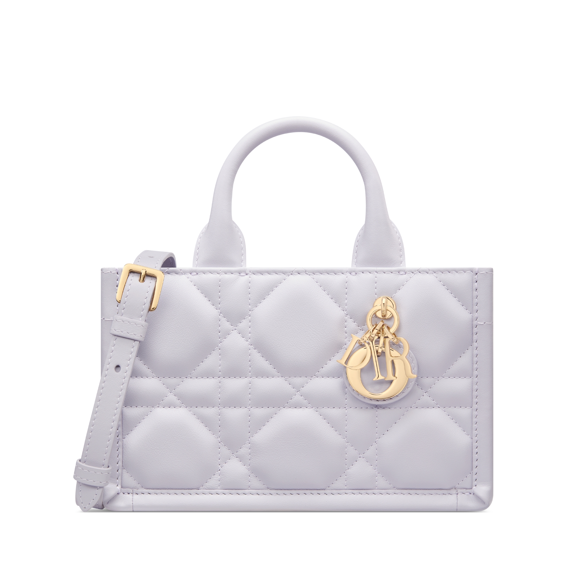 Dior Book Tote バッグ ミニ マクロカナージュ カーフスキン (21.5 x 13 x 7.5 cm) E01