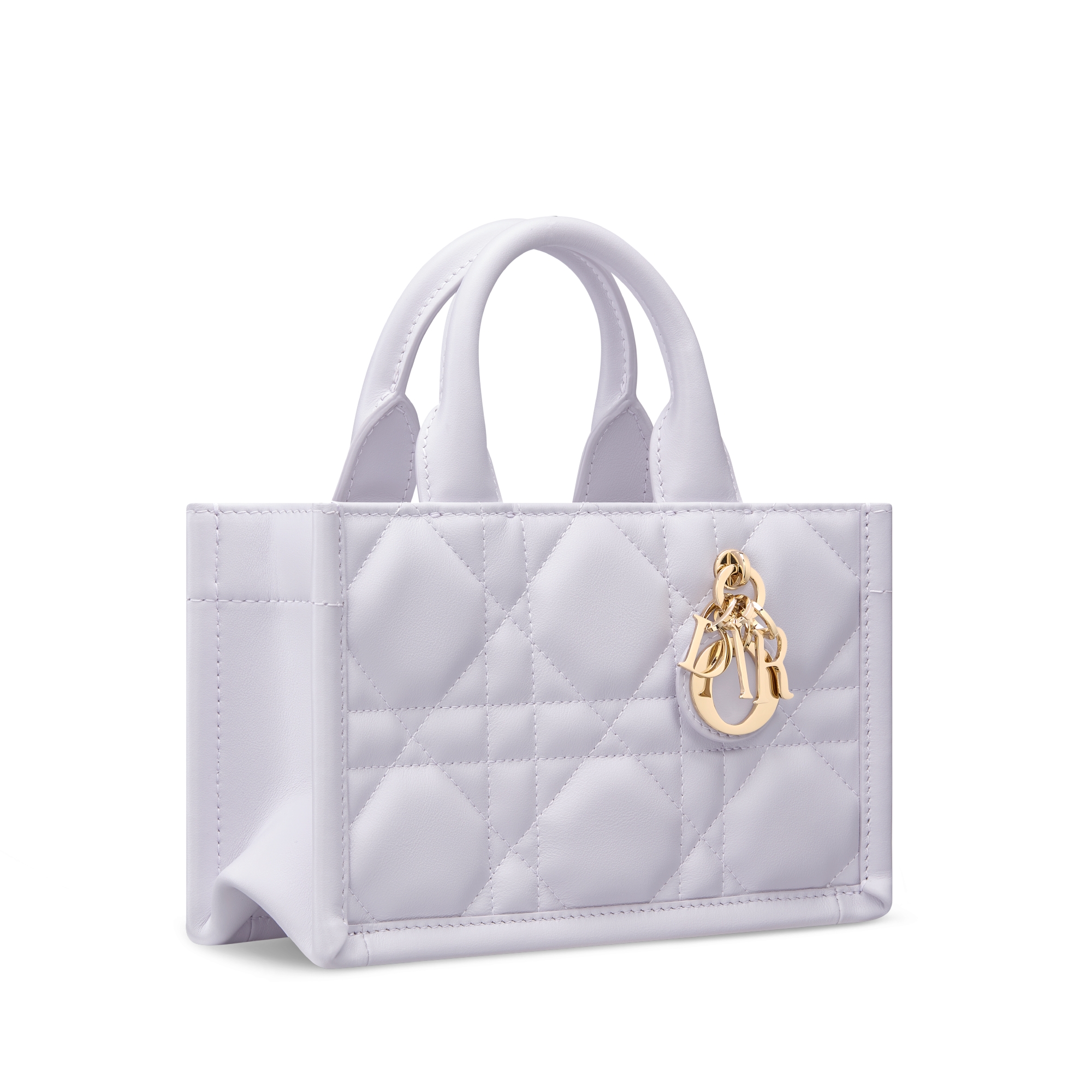 Dior Book Tote 미니 백 라일락 매크로까나쥬 송아지 가죽 (21.5 x 13 x 7.5cm) E03