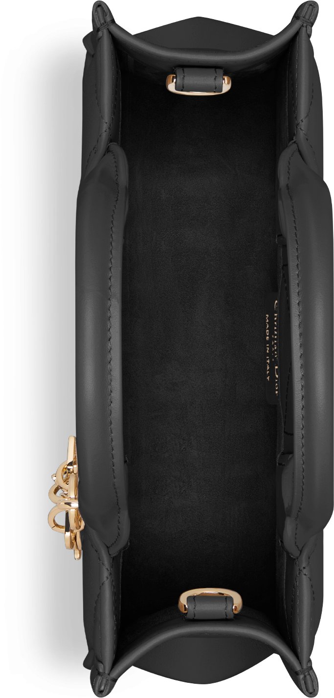 Dior tote bag mini 2025