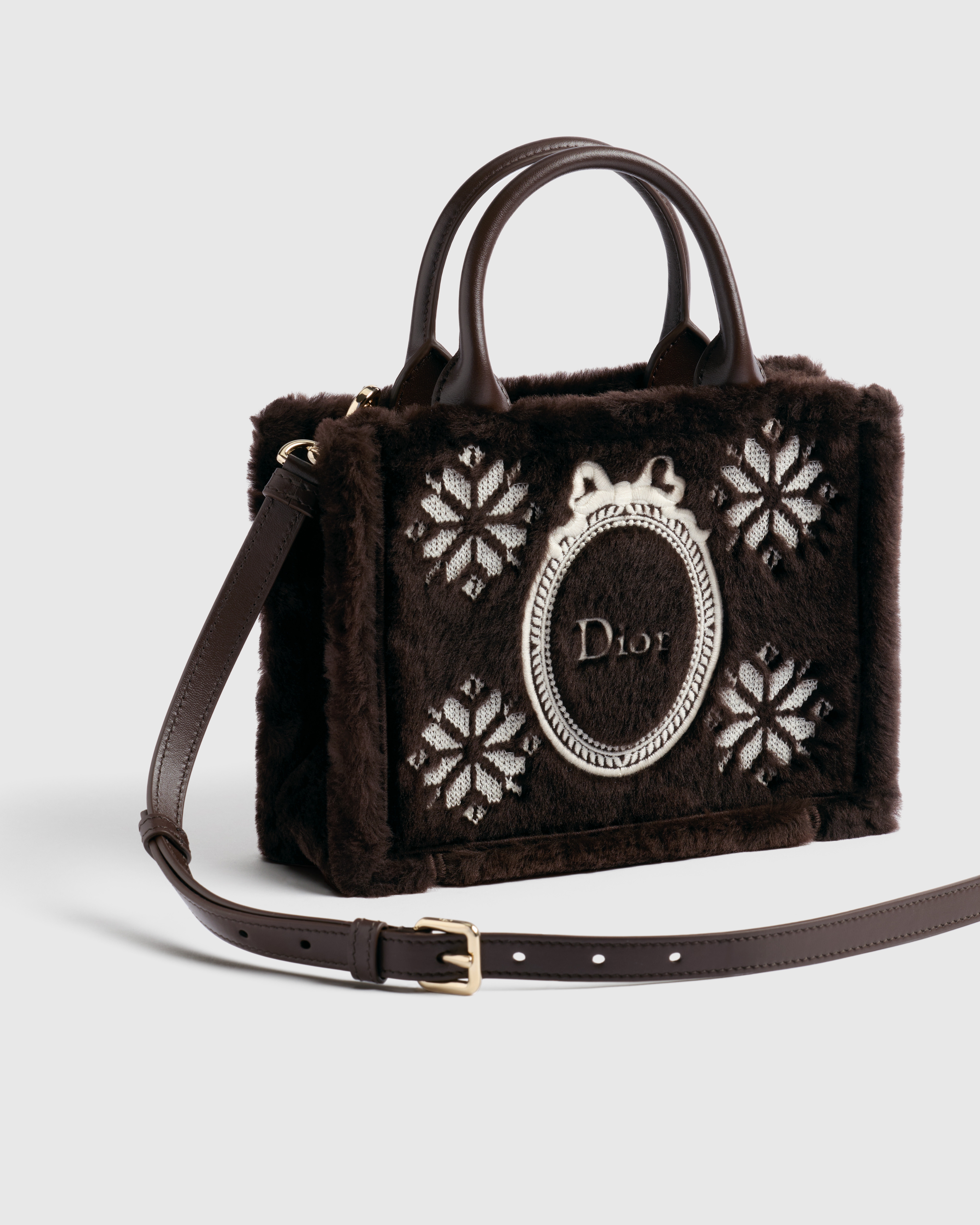 Sac Dior Book Tote Mini à bandoulière DiorAlps