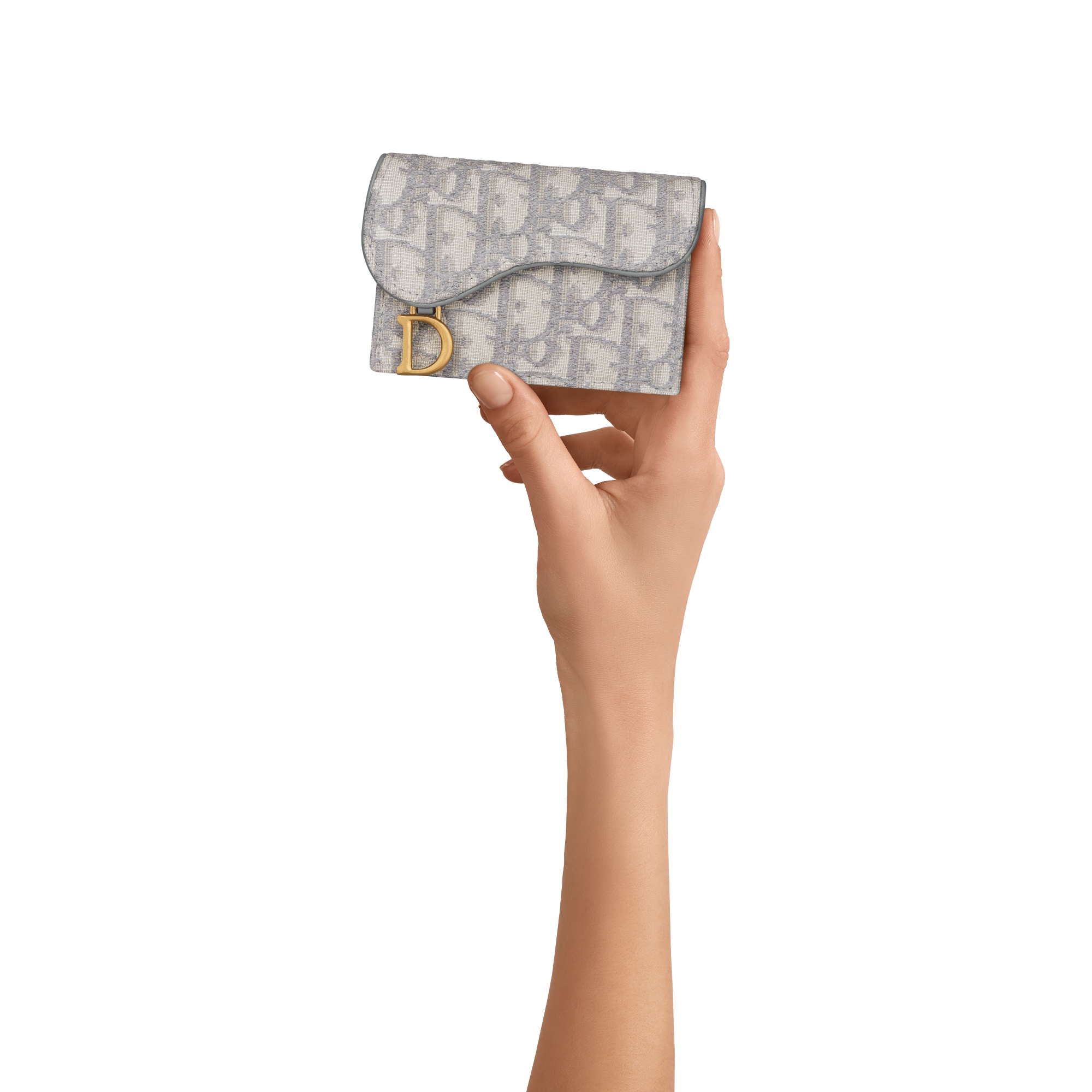 Saddle Bloom-kaarthouder Grijze Dior Oblique-jacquard E11