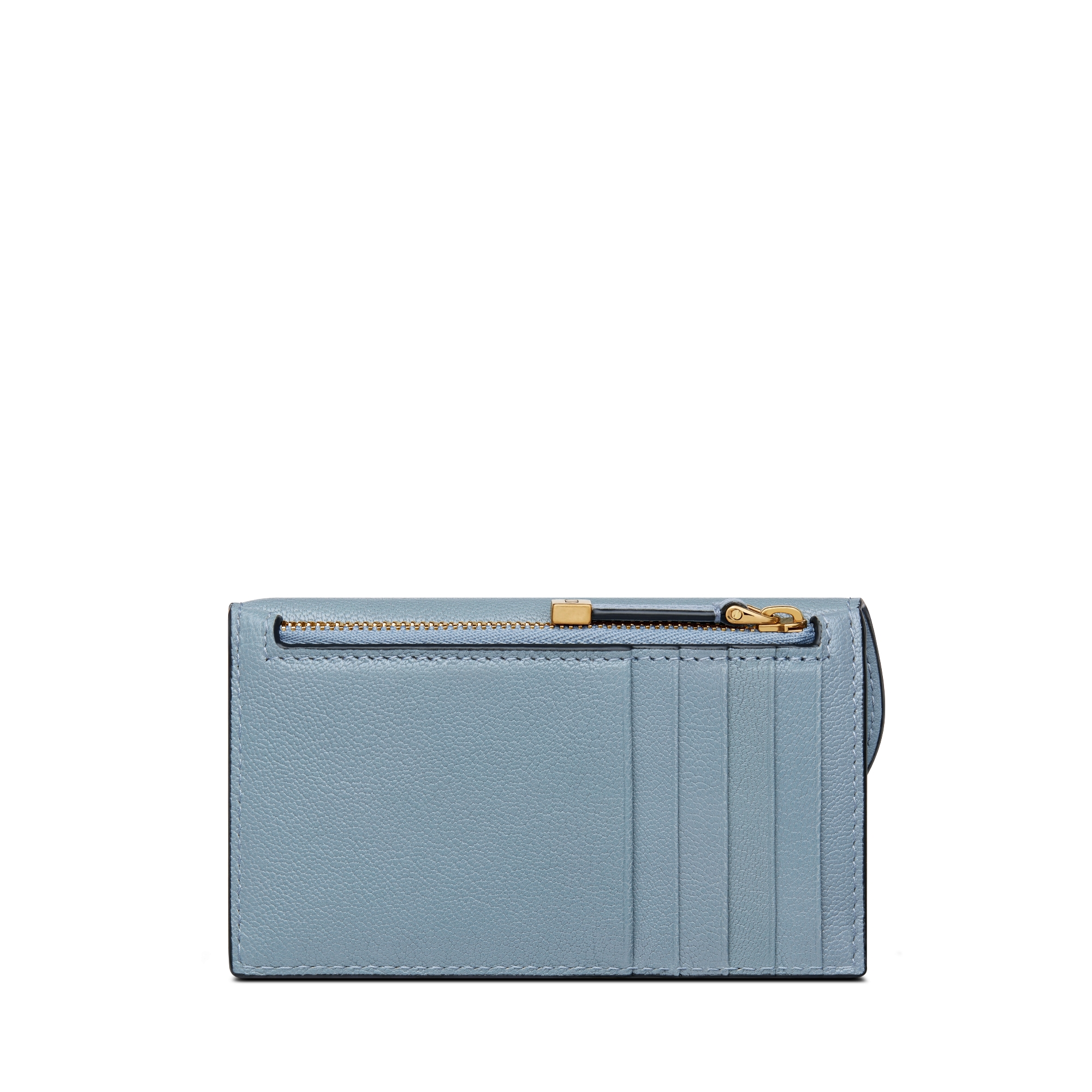 Saddle Cosmos Zipped Card Holder