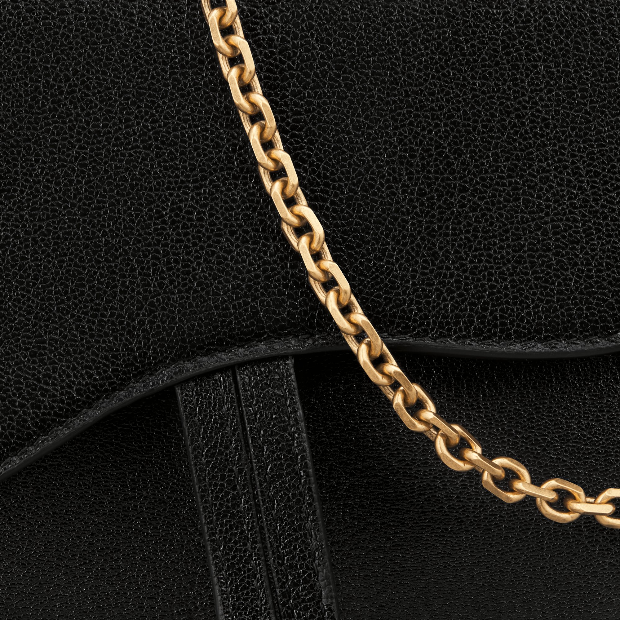 Medium Saddle Pouch with Chain Detailed view