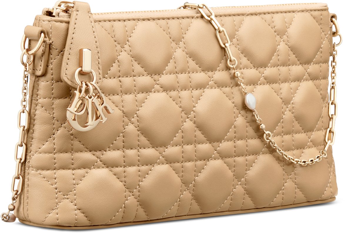 Dior evening bag shop