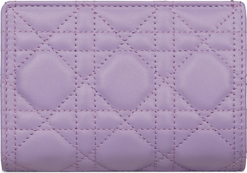 新品同様【ディオール】日本限定　My Dior Dittany ウォレット