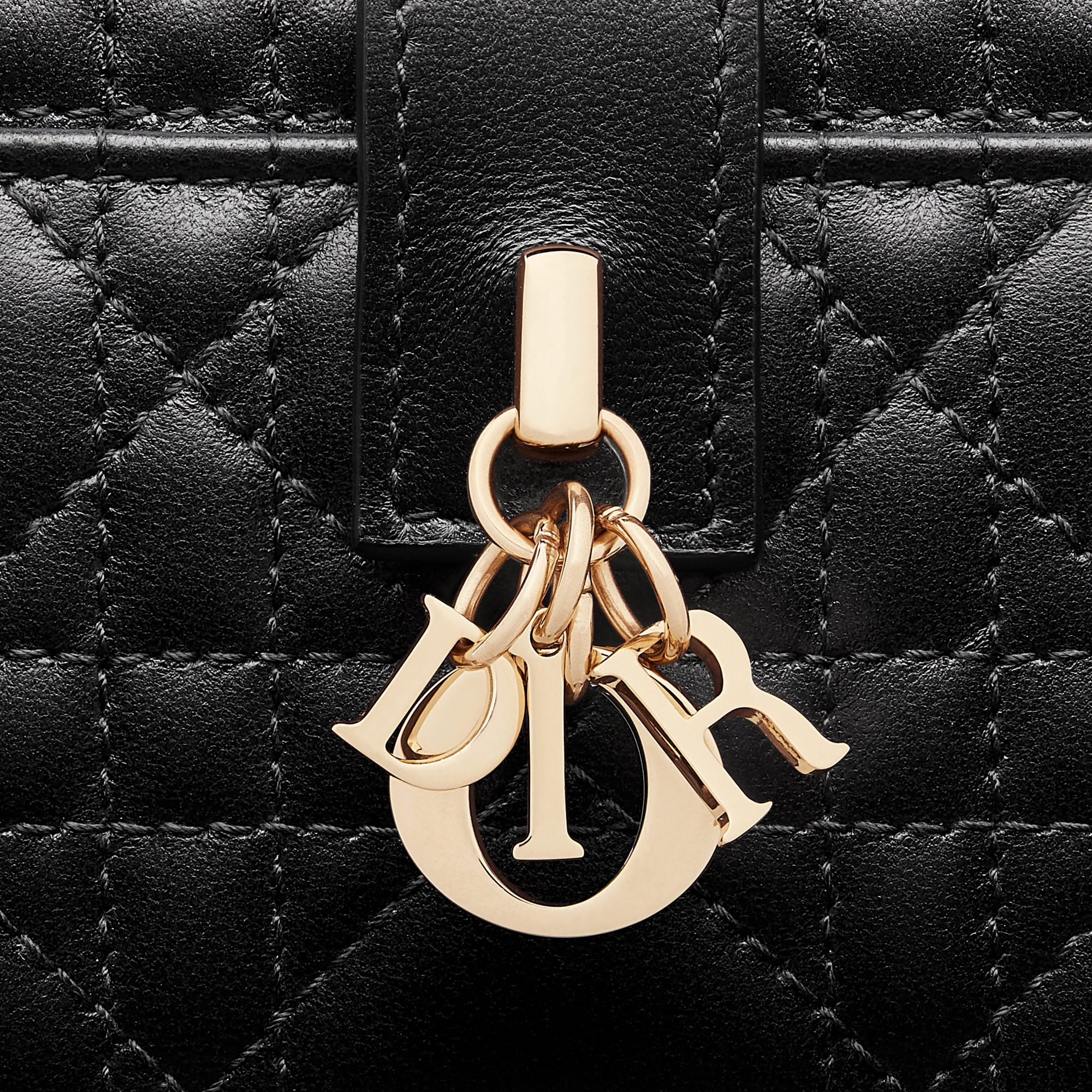 My Dior Dittany Wallet Black Cannage Lambskin E09