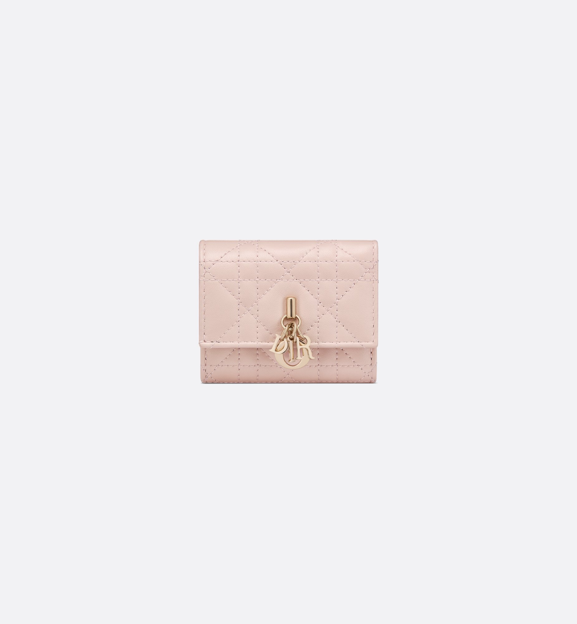 DIOR | 【日本限定】My Dior Hibiscus Lジップウォレット DIOR | 【日本限定】My Dior Hibiscus Lジップウォレット