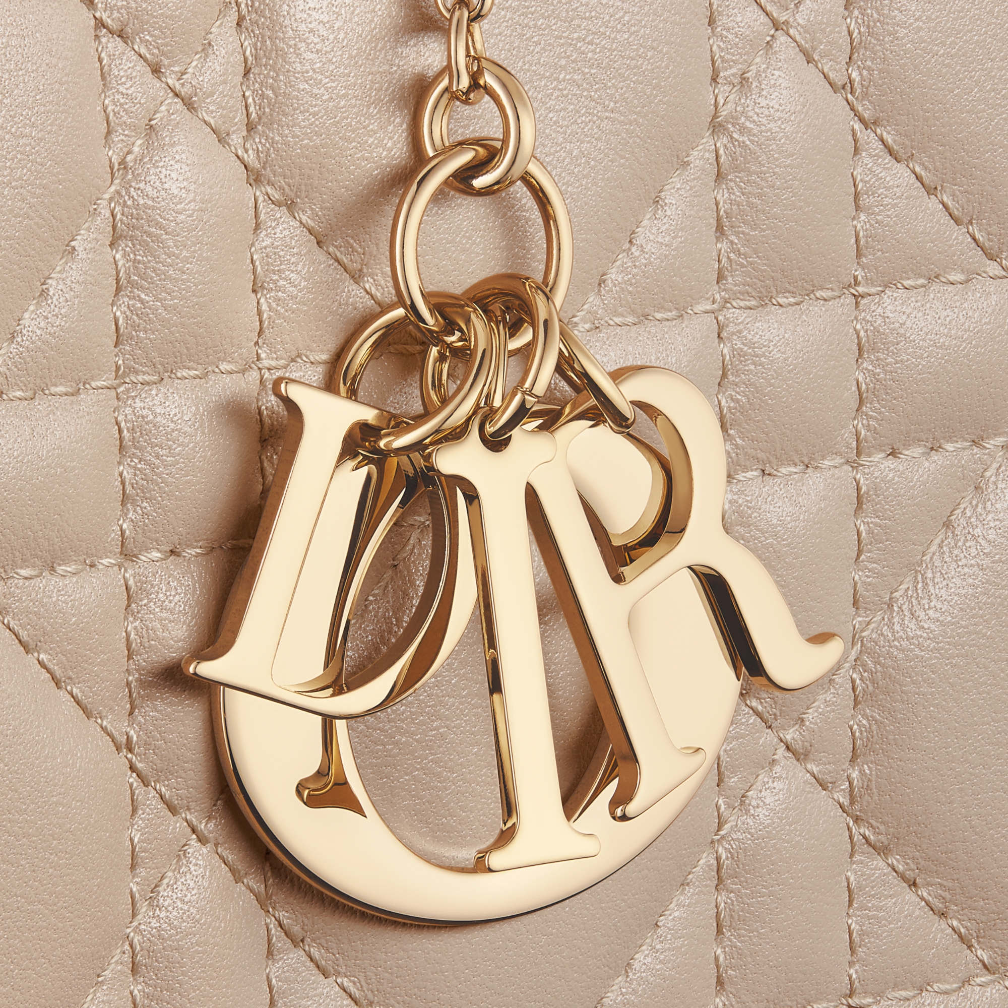 Medium Lady Dior Zipped Wallet