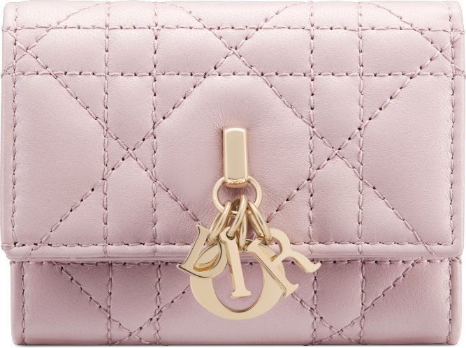 Dior purse wallet online