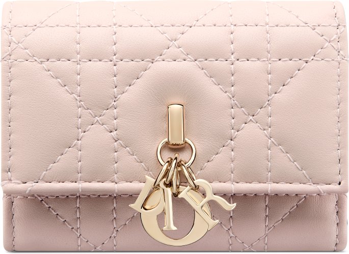 My Dior Veronia 銀包 aria_frontView