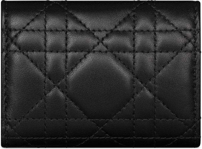 My Dior Veronia 銀包 aria_backView