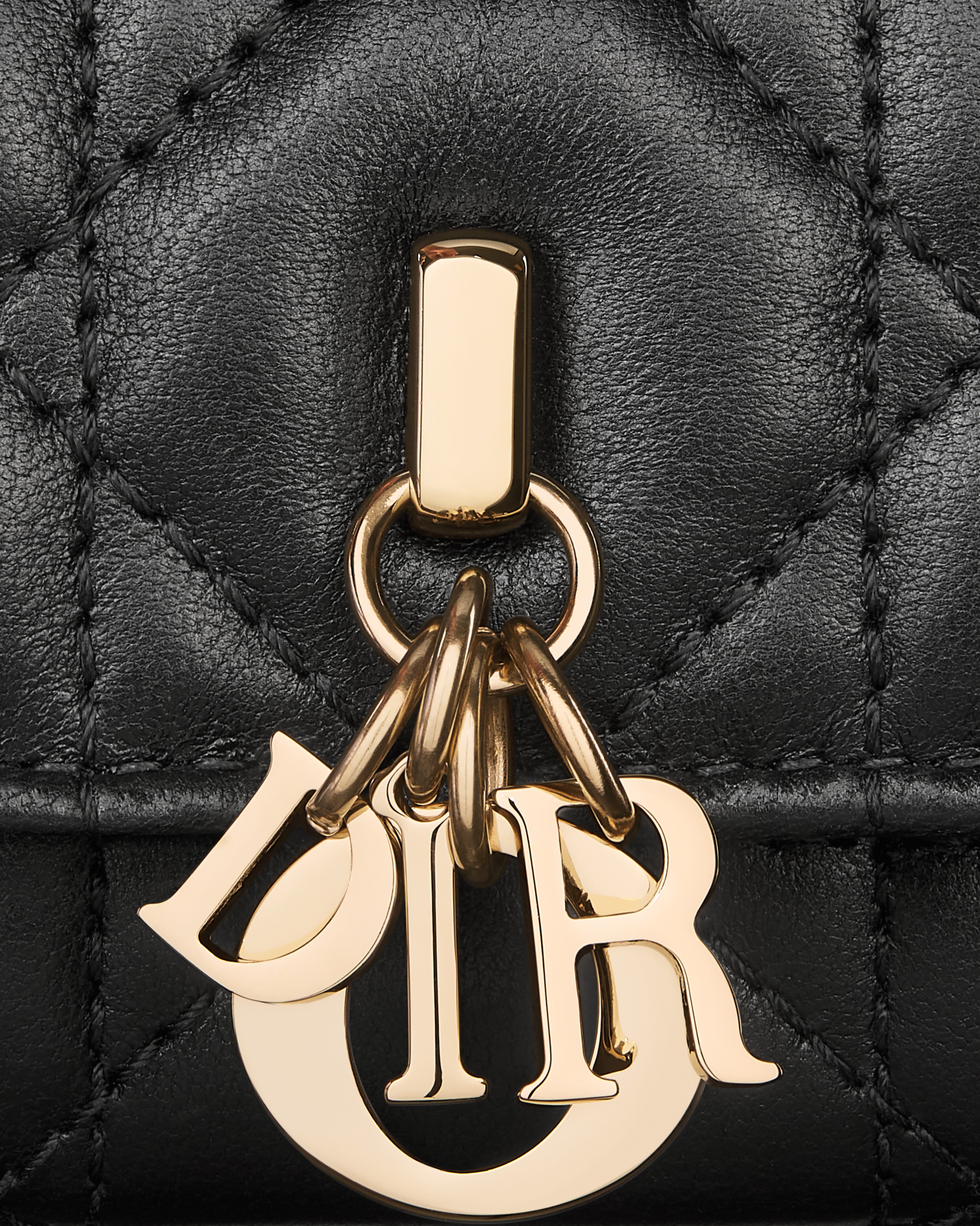 My Dior Veronia Wallet Black Cannage Lambskin E09