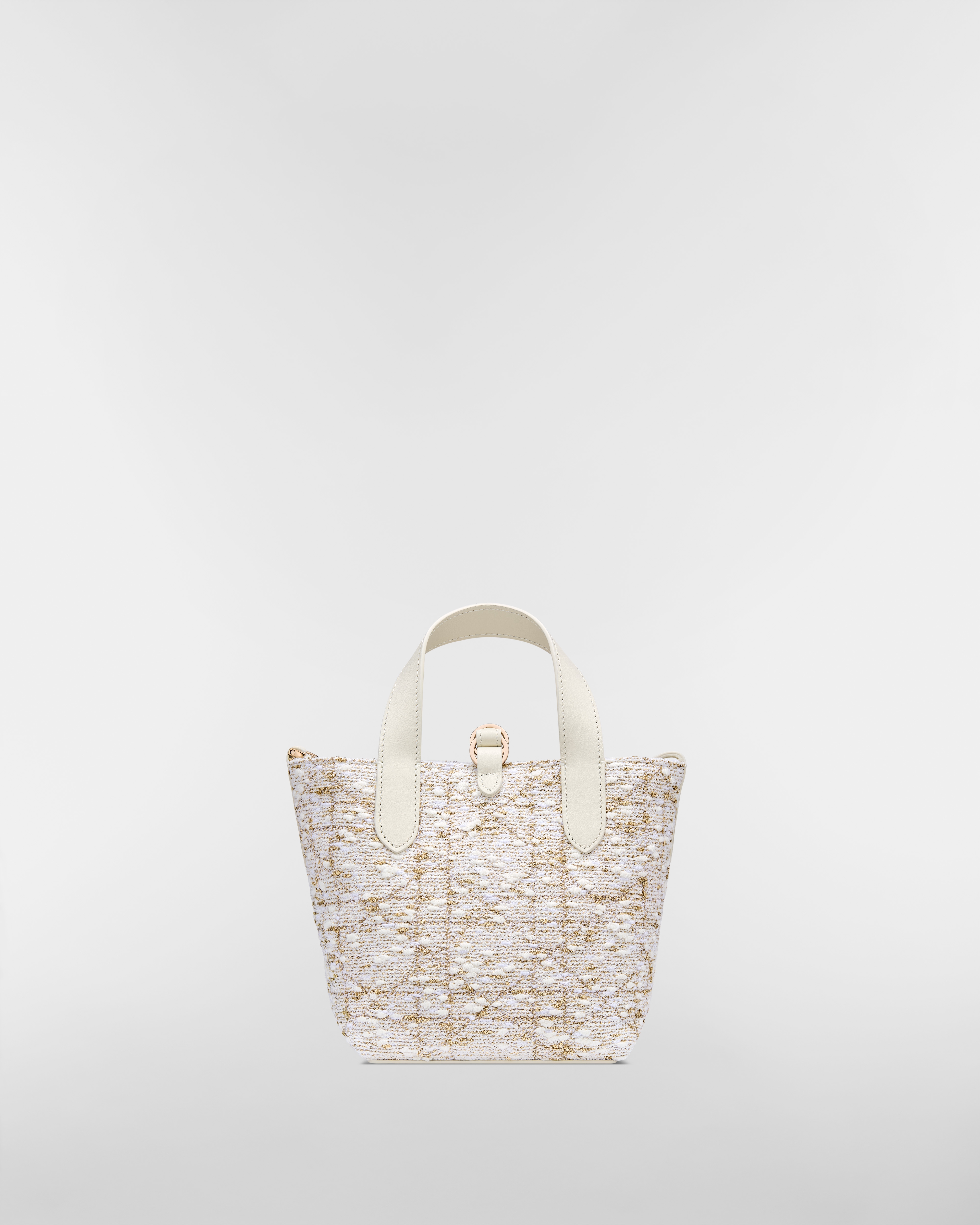 Dior Toujours Vertical Nano Tote Bag