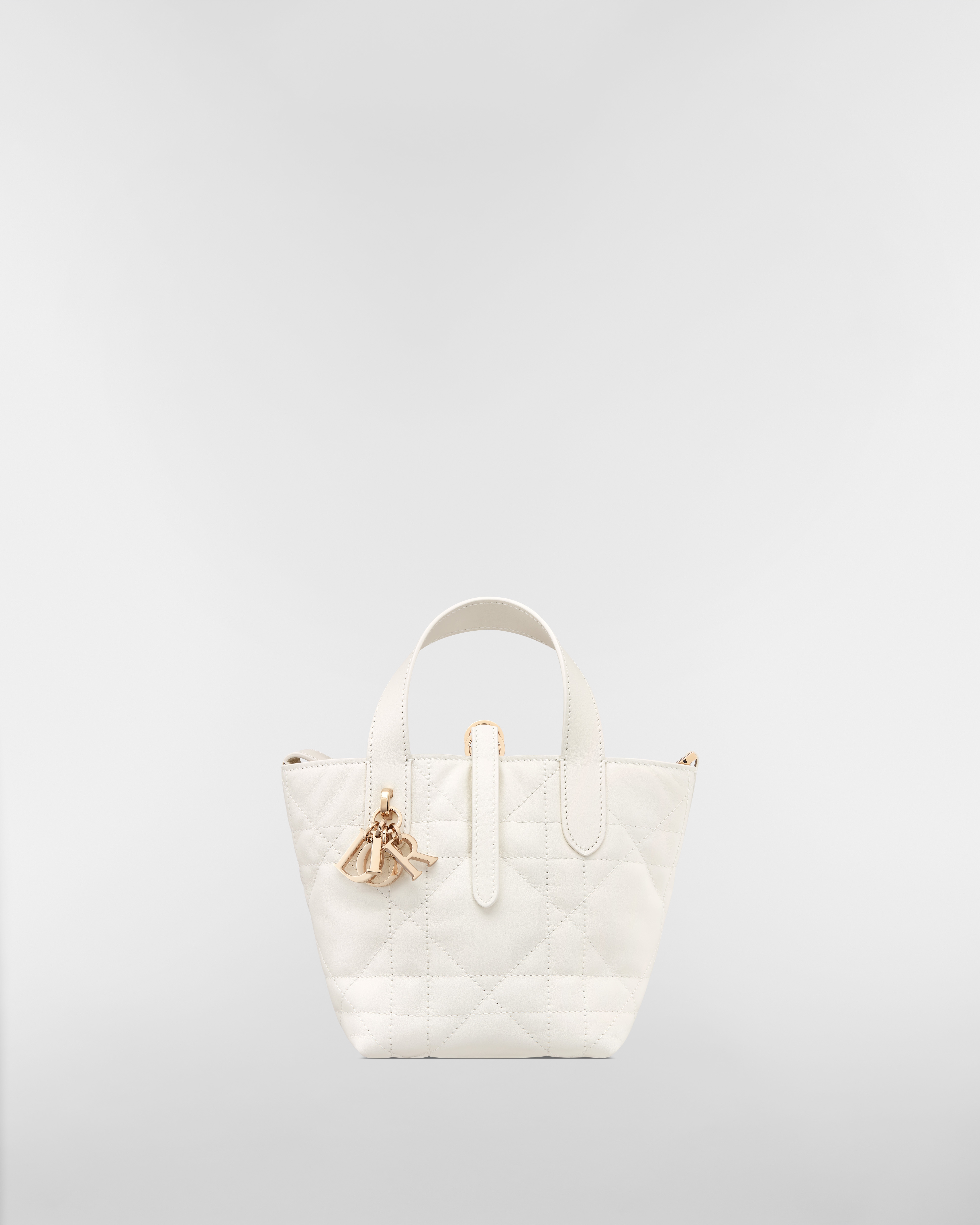 Dior Toujours 버티컬 나노 토트백 라떼 매크로까나쥬 송아지 가죽 E01