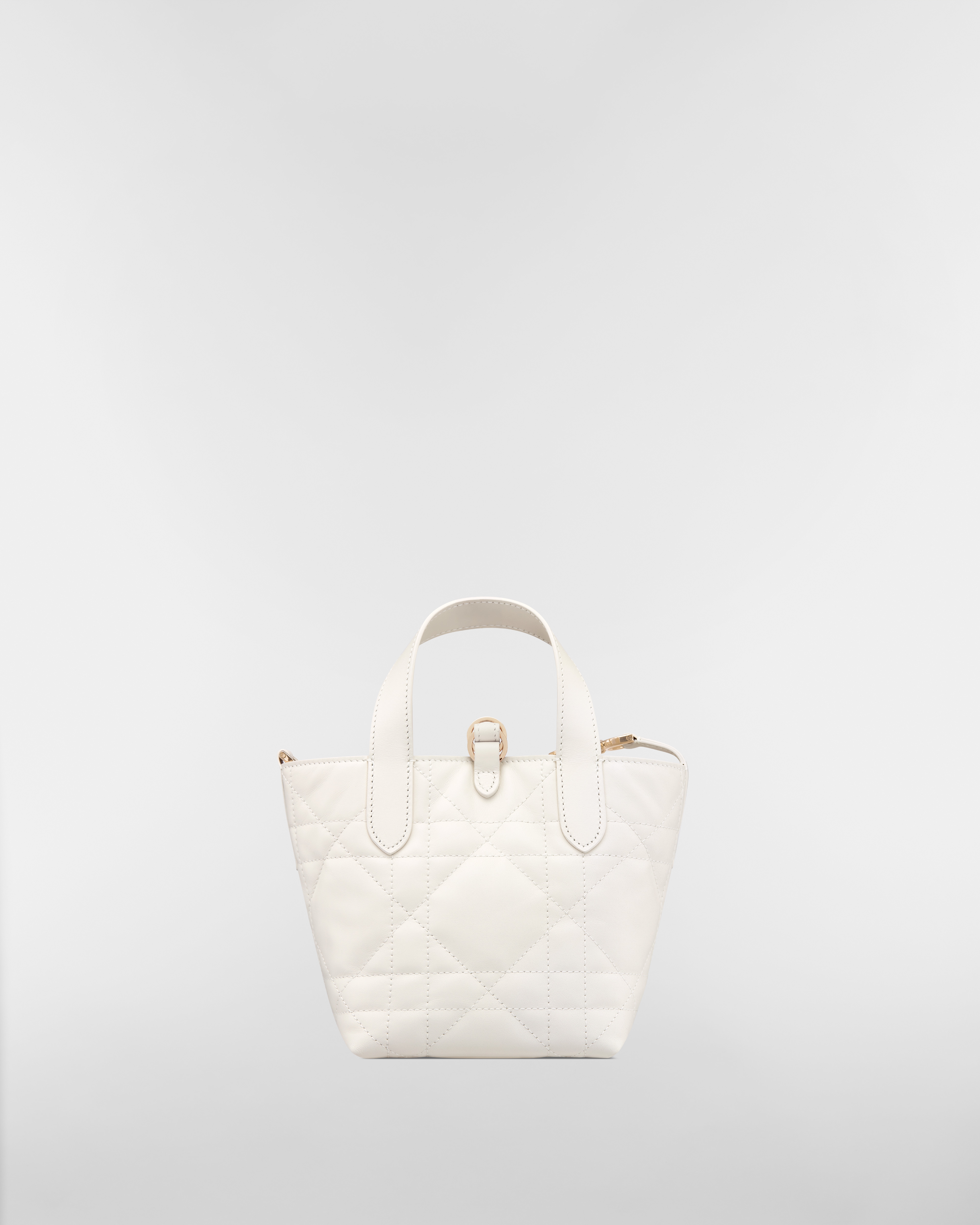 Dior Toujours Vertical Nano Tote Bag Latte Macrocannage Calfskin E08