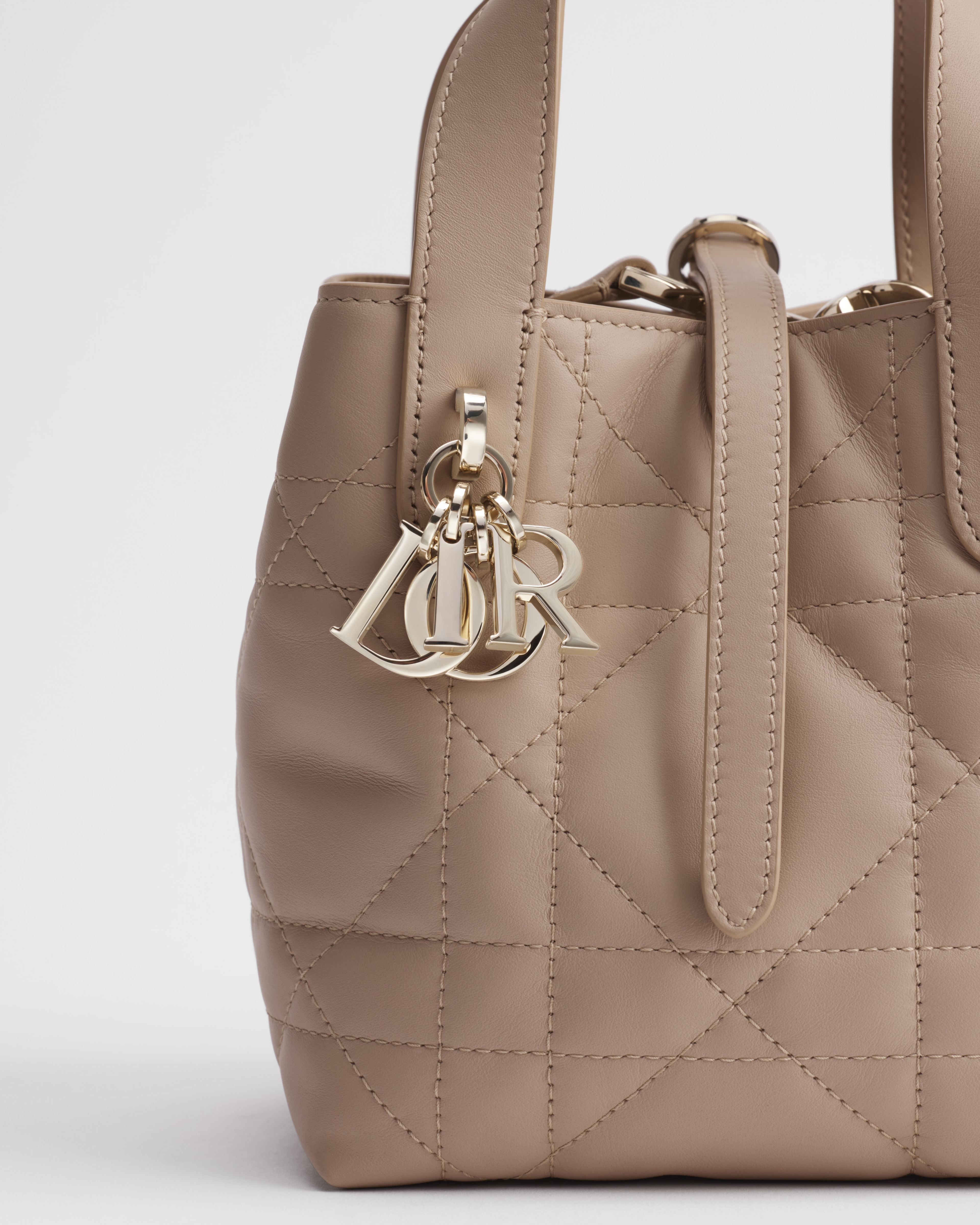Dior Toujours Vertical Nano Tote Bag
