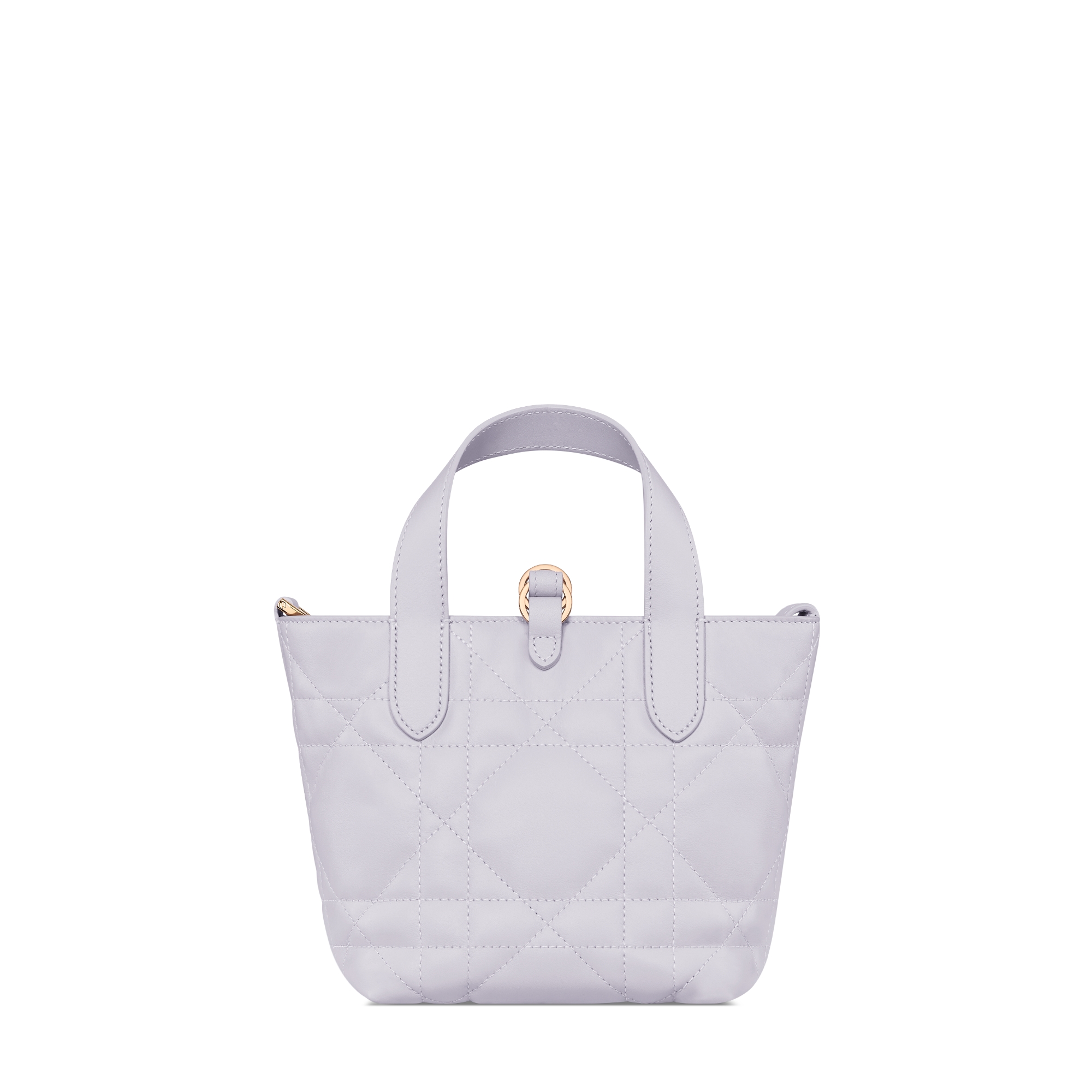 Dior Toujours 버티컬 나노 토트백 라일락 매크로까나쥬 송아지 가죽 E08