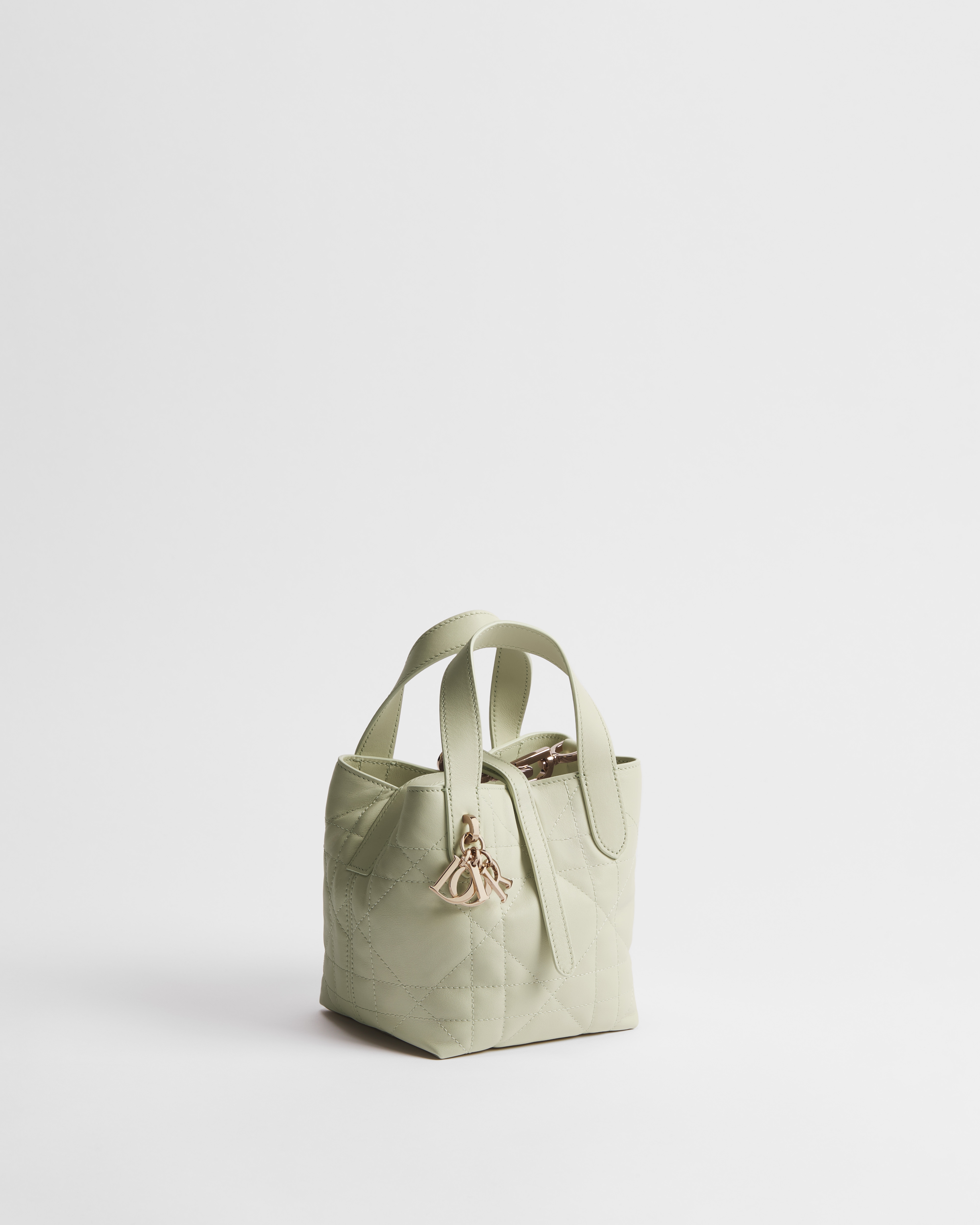 Borsa tote nano verticale Dior Toujours