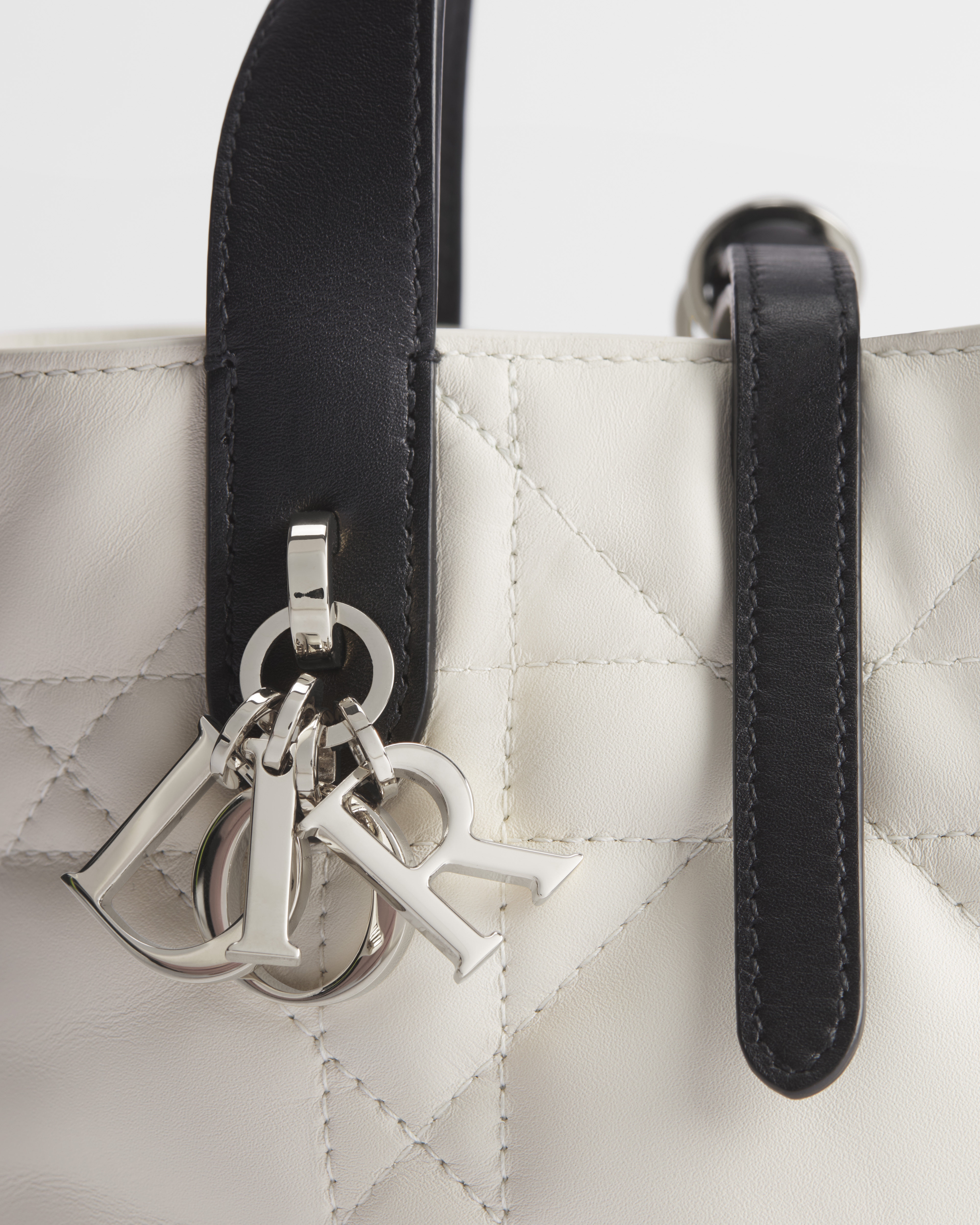 Dior Toujours Vertical Nano Tote Bag Two-Tone Latte and Black Macrocannage Calfskin E09