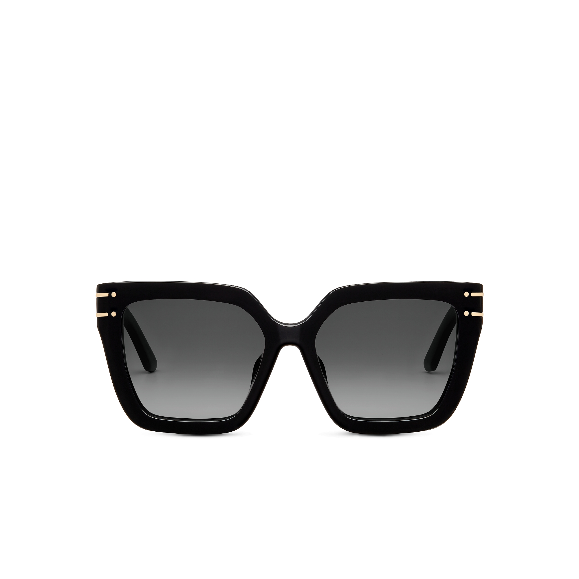 DiorSignature S10F Black Square Sunglasses E01