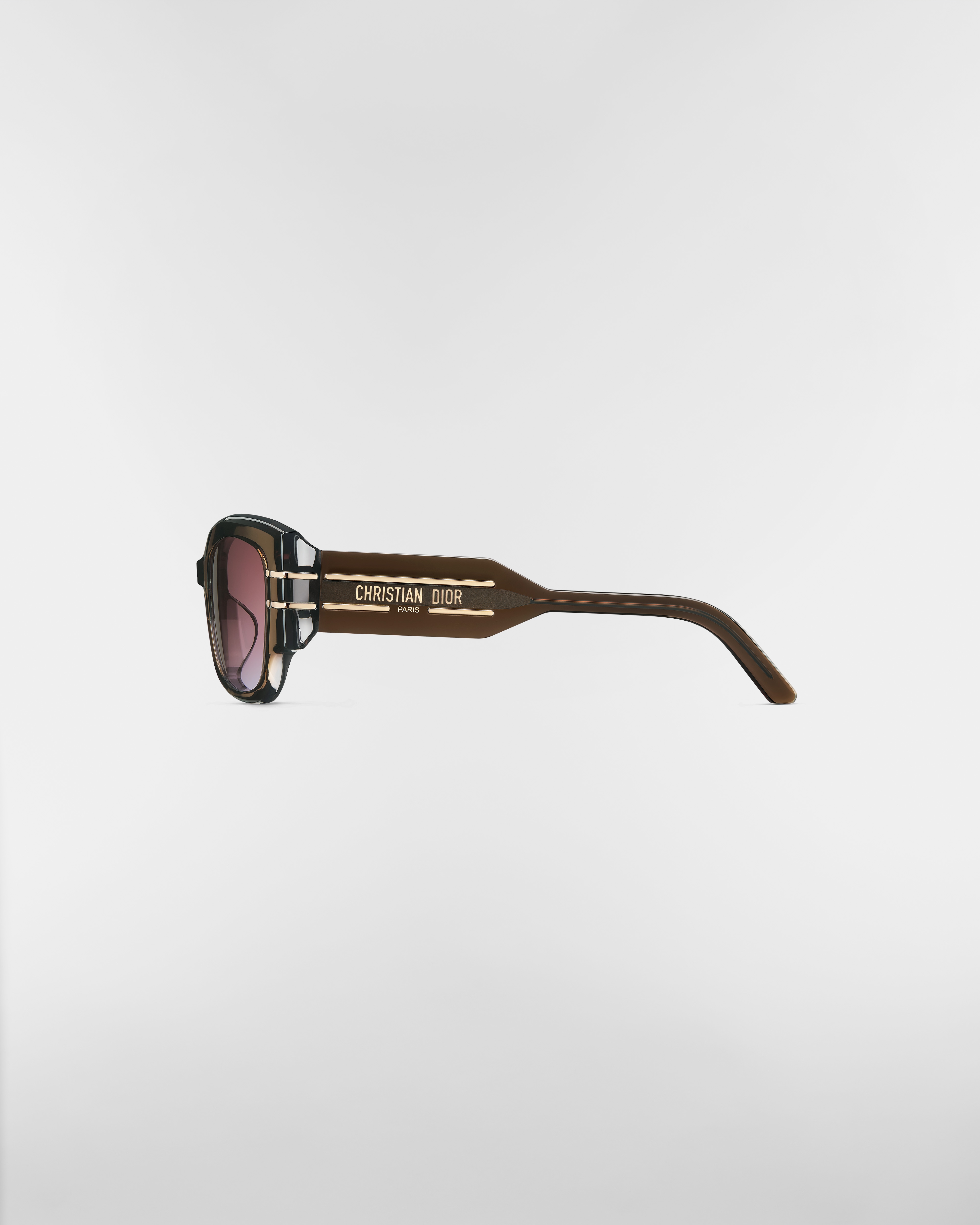 DiorSignature S13F Transparent Brown Square Sunglasses E02