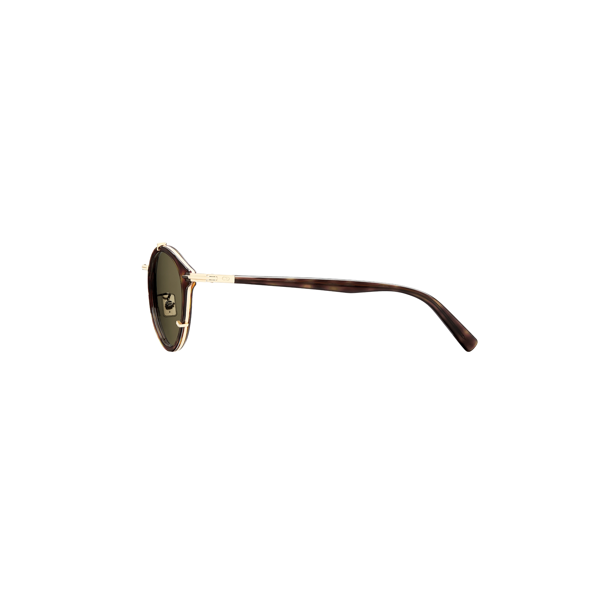 DiorBlackSuit R7U BioAcetate Brown Tortoiseshell-Effect Pantos Sunglasses E02