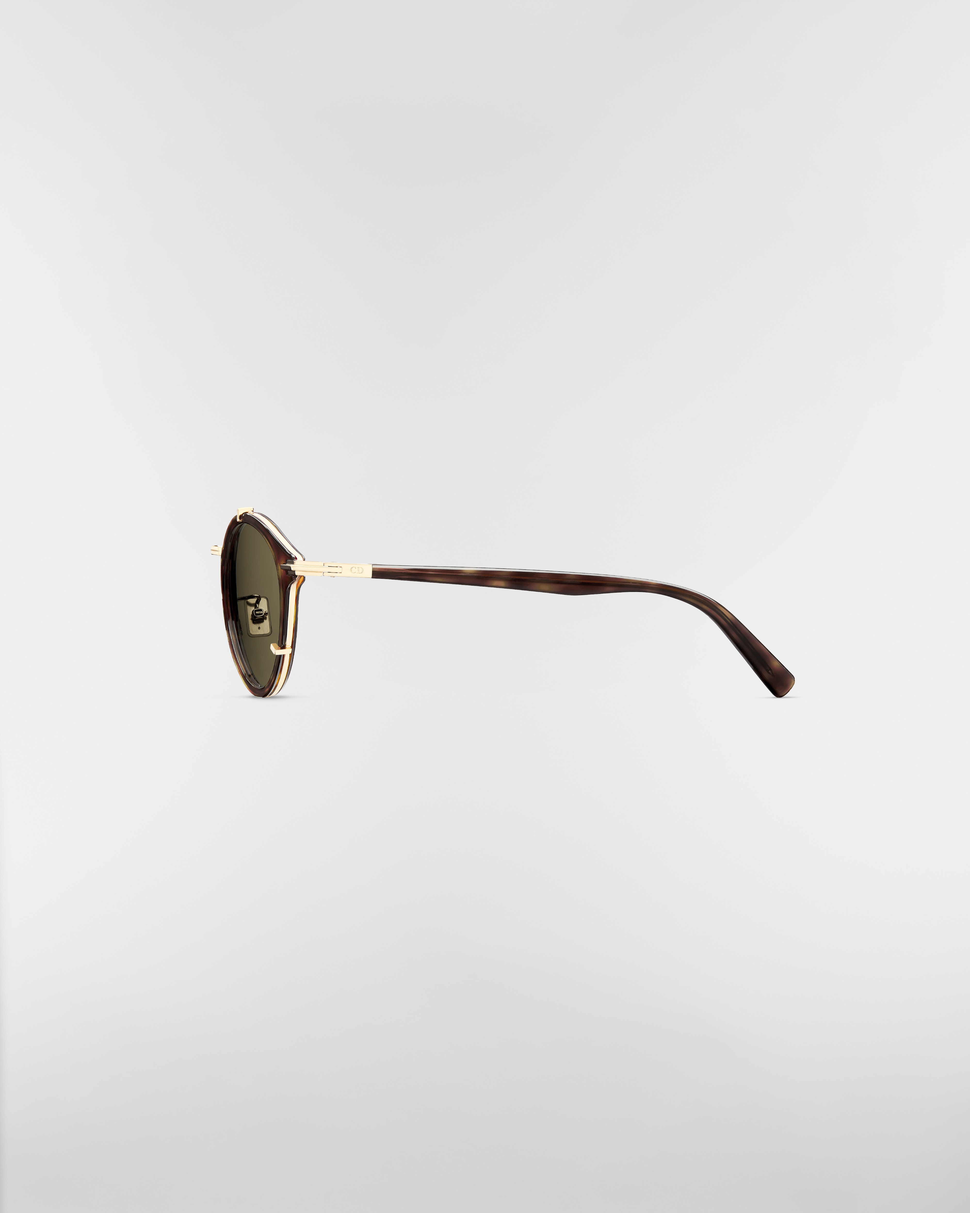 DiorBlackSuit R7U BioAcetate Brown Tortoiseshell-Effect Pantos Sunglasses E02